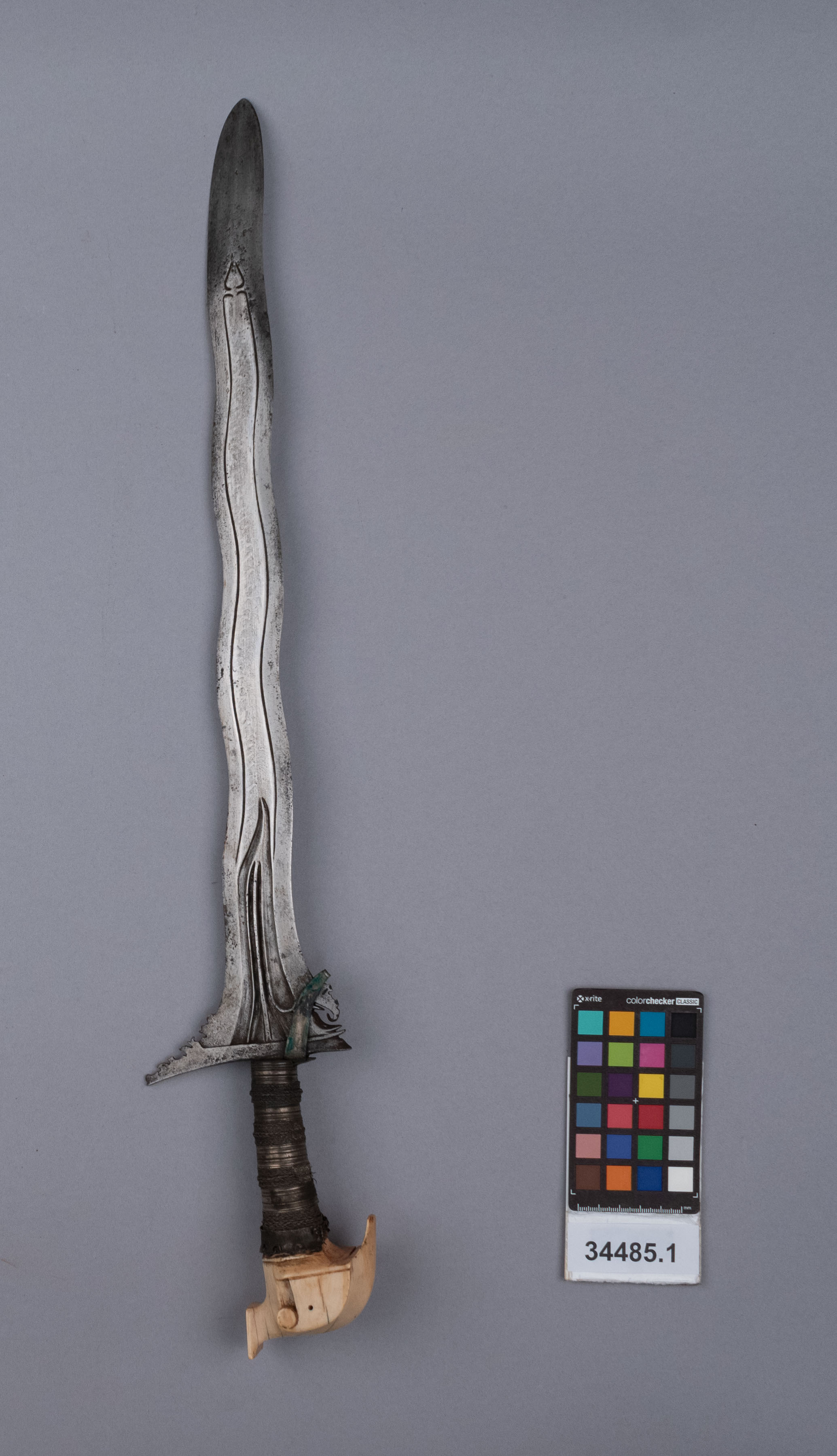 reference image, front view (c) Field Museum of Natural History - CC BY-NC 4.0