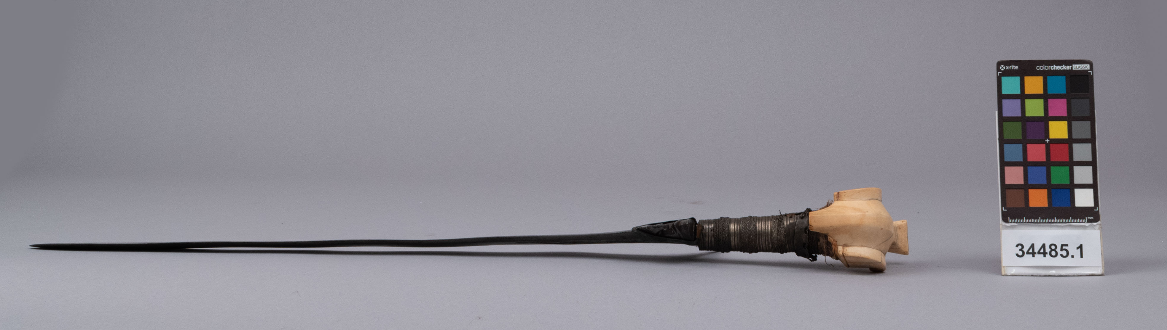 reference image, left view (c) Field Museum of Natural History - CC BY-NC 4.0