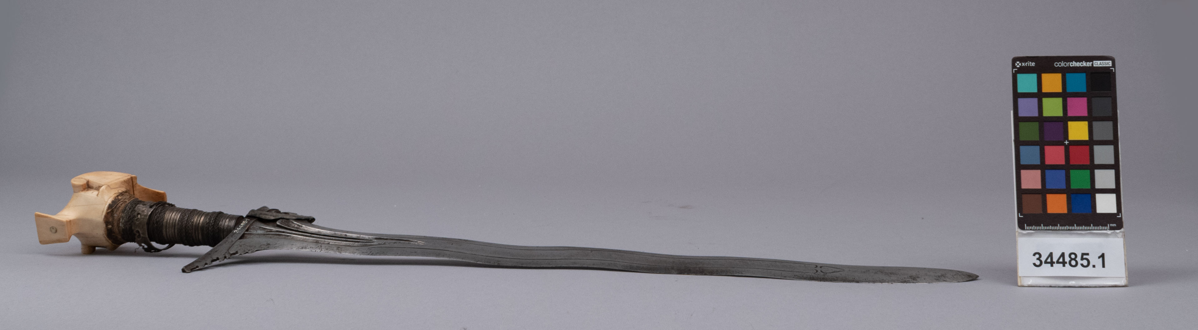 reference image, right view (c) Field Museum of Natural History - CC BY-NC 4.0