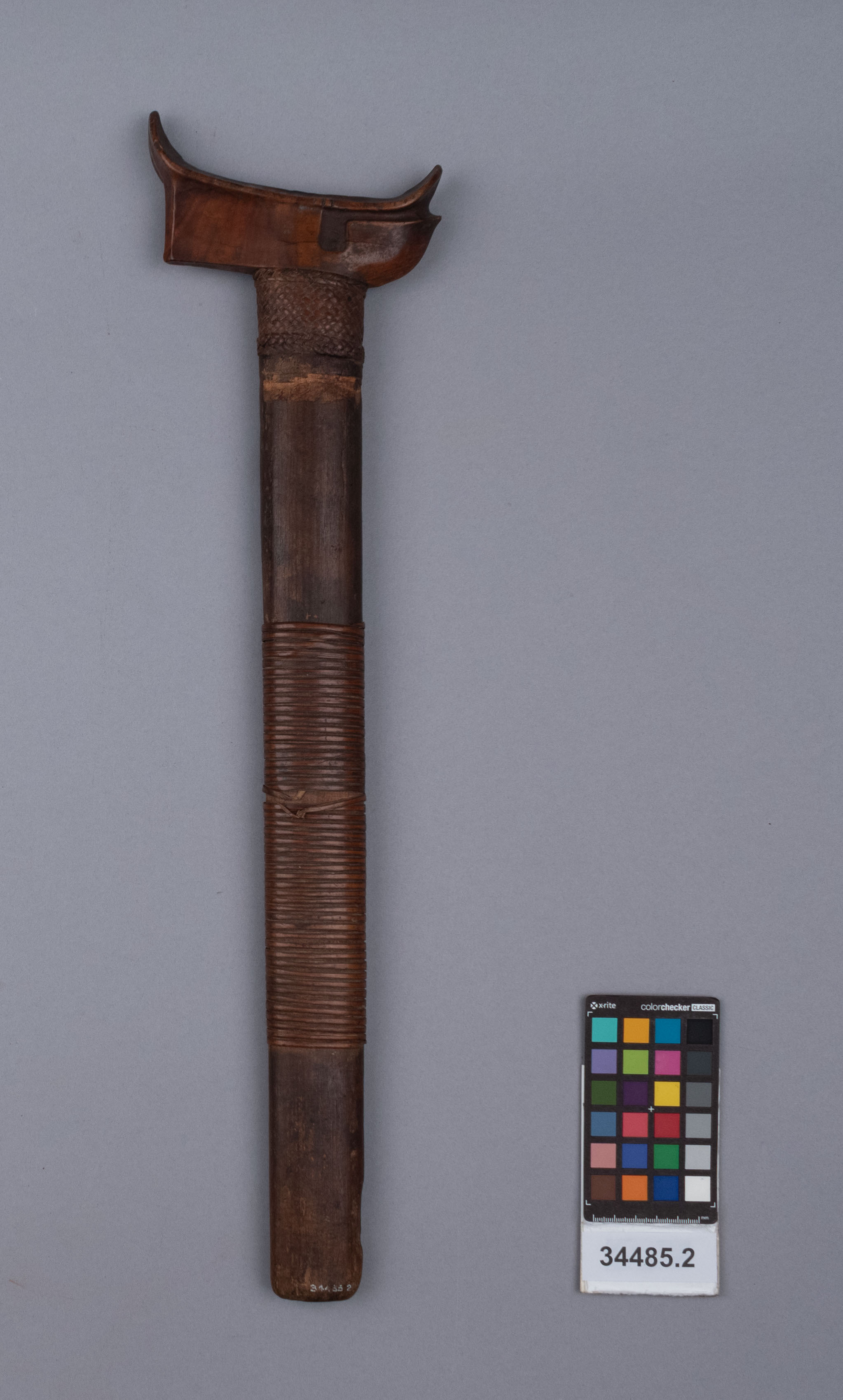 reference image, back view (c) Field Museum of Natural History - CC BY-NC 4.0