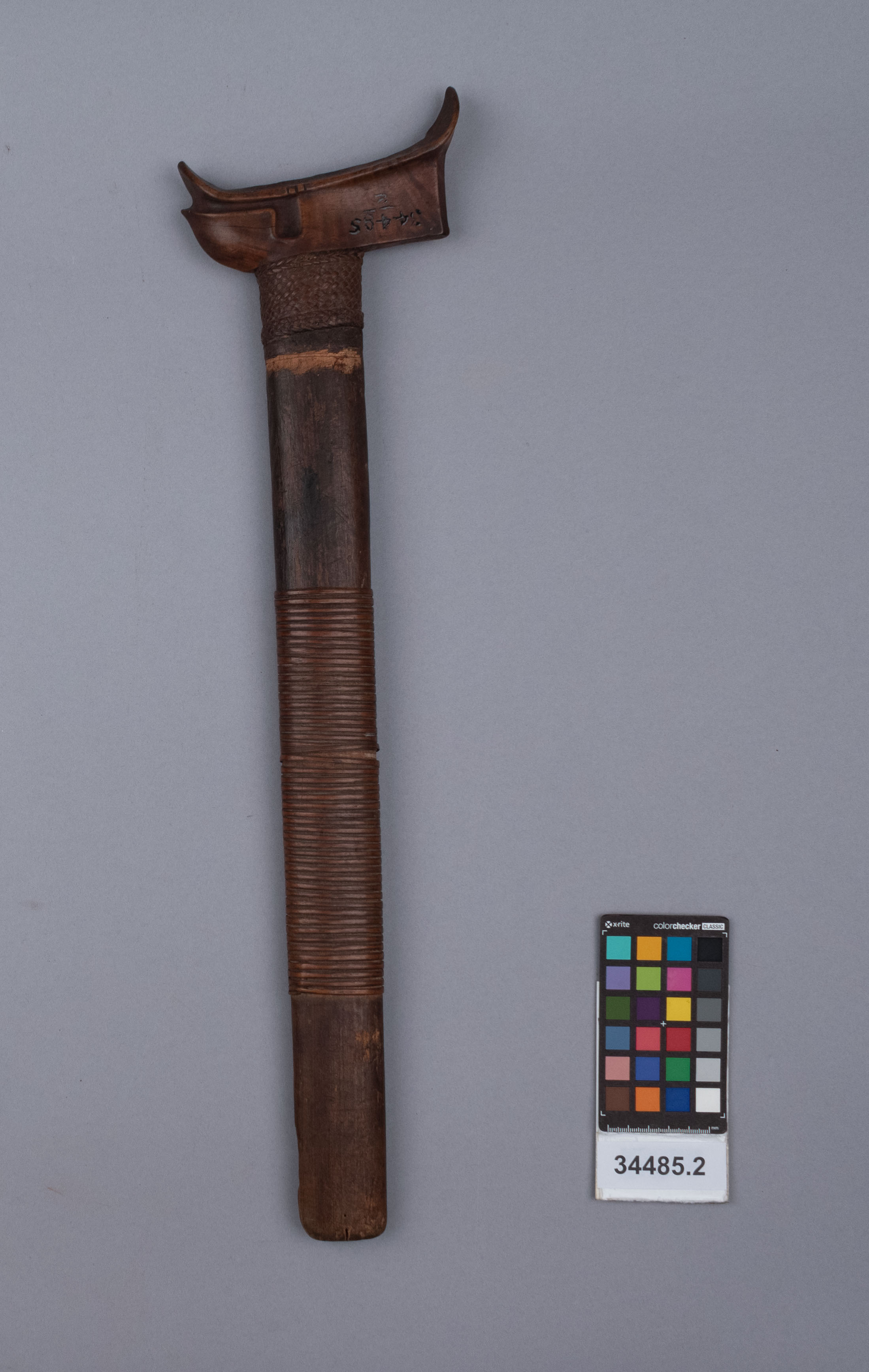 reference image, front view (c) Field Museum of Natural History - CC BY-NC 4.0