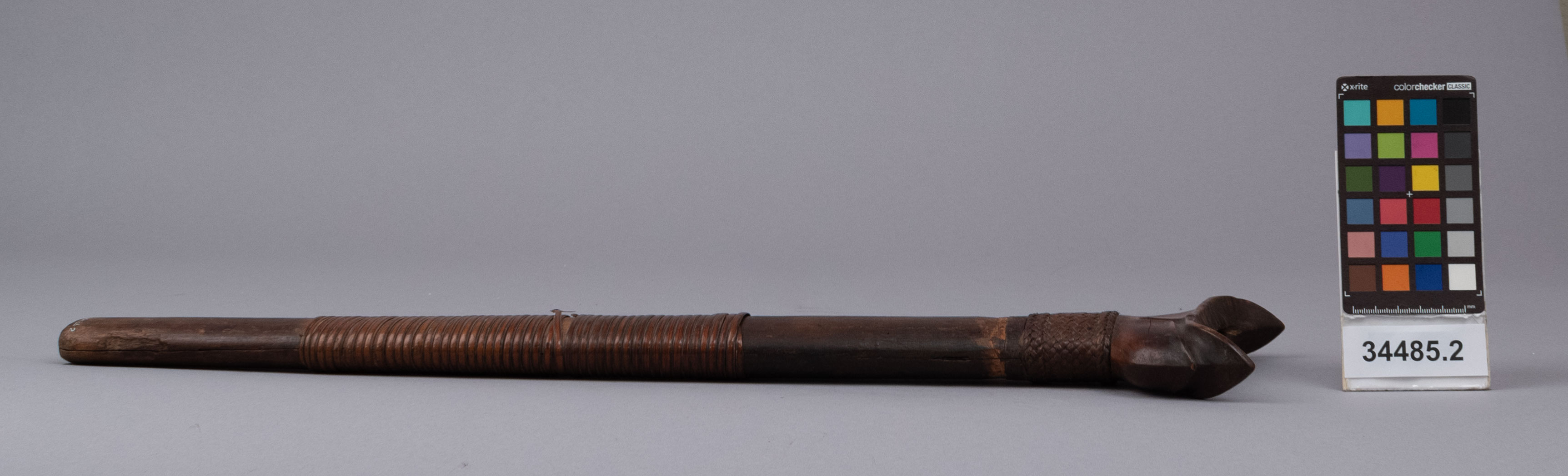 reference image, left view (c) Field Museum of Natural History - CC BY-NC 4.0