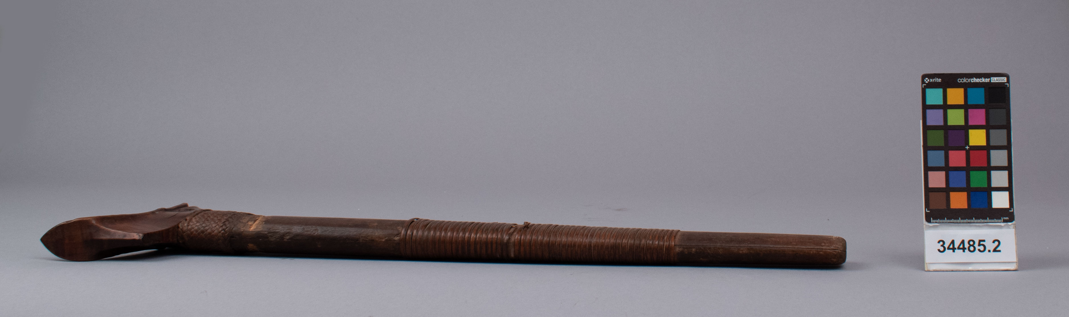 reference image, right view (c) Field Museum of Natural History - CC BY-NC 4.0