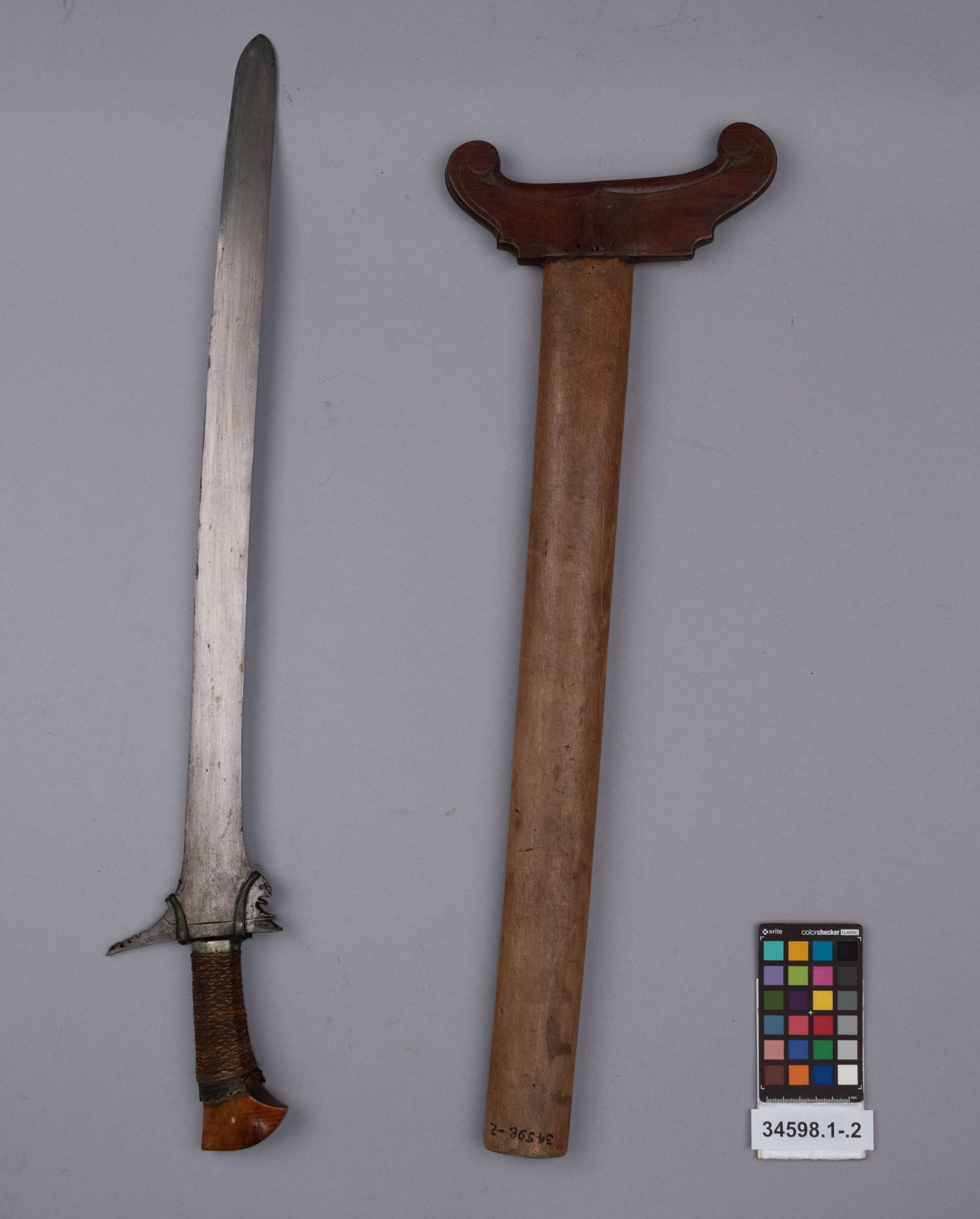 reference image, overall view (c) Field Museum of Natural History - CC BY-NC 4.0