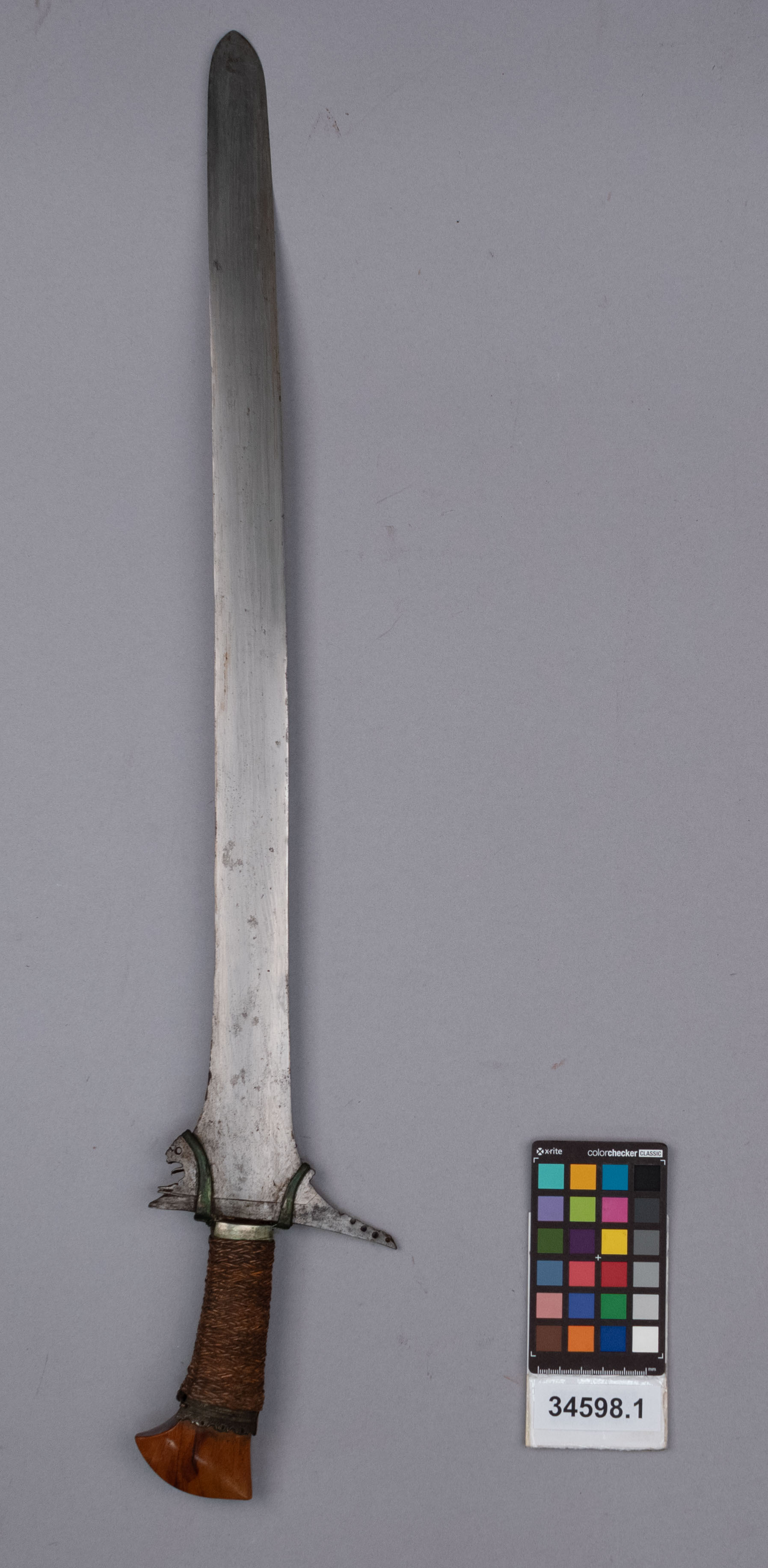 reference image, back view (c) Field Museum of Natural History - CC BY-NC 4.0