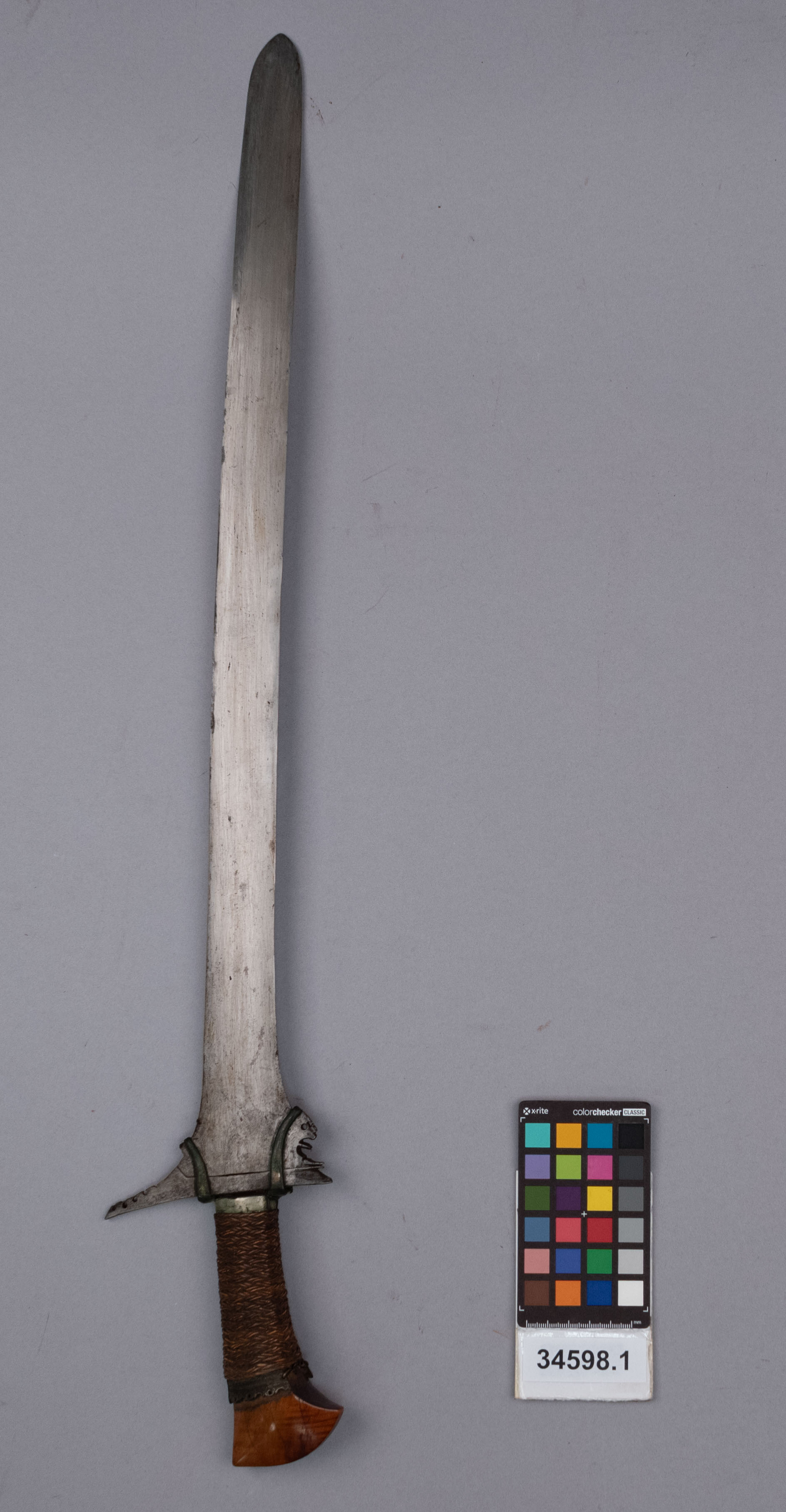 reference image, front view (c) Field Museum of Natural History - CC BY-NC 4.0