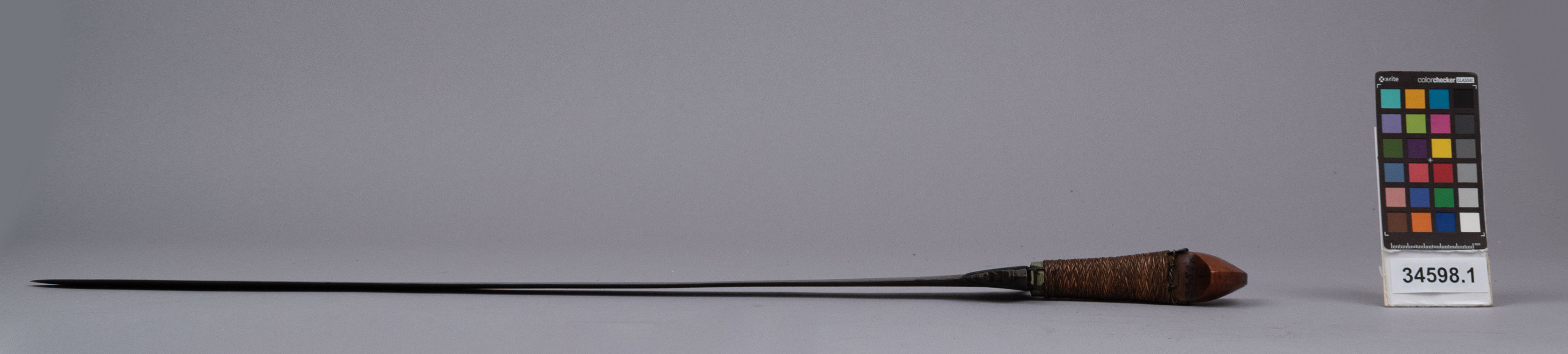 reference image, left view (c) Field Museum of Natural History - CC BY-NC 4.0