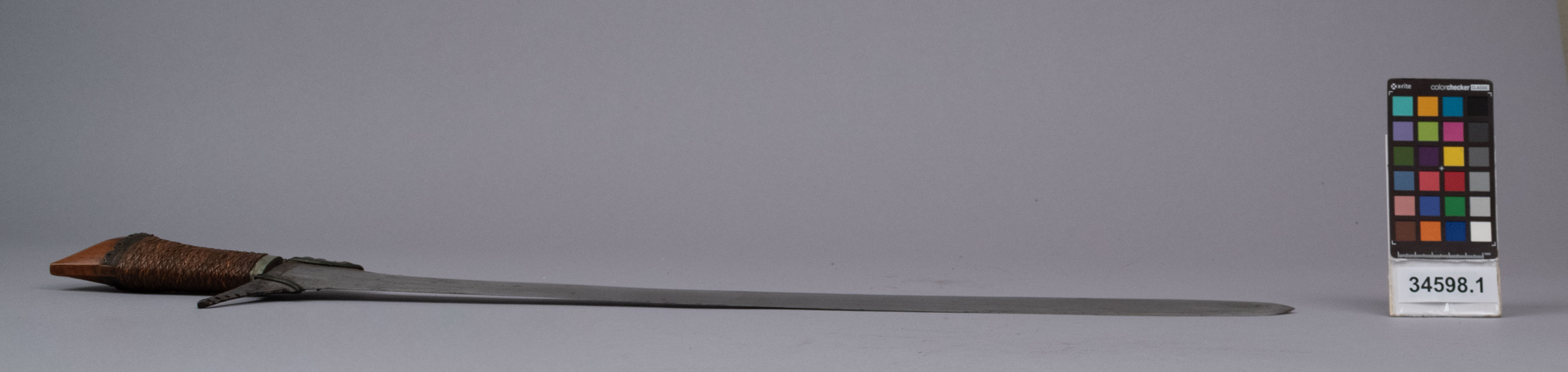 reference image, right view (c) Field Museum of Natural History - CC BY-NC 4.0