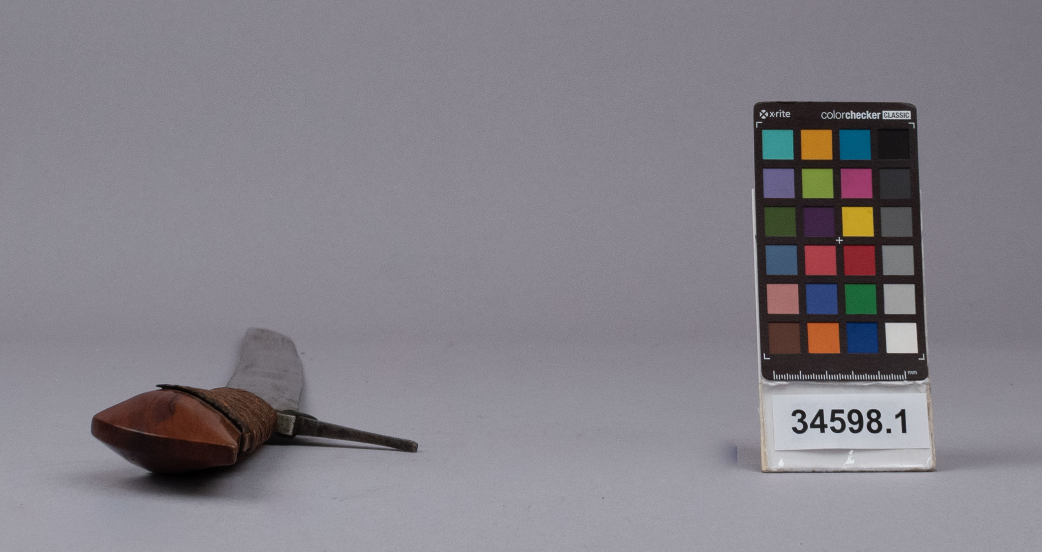 reference image, top view (c) Field Museum of Natural History - CC BY-NC 4.0