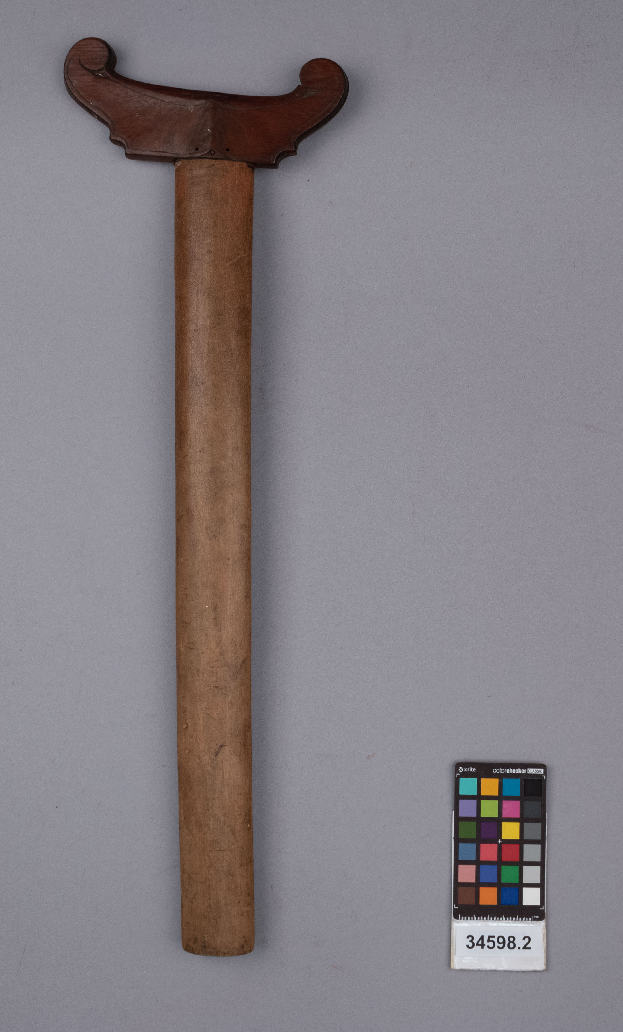 reference image, back view (c) Field Museum of Natural History - CC BY-NC 4.0