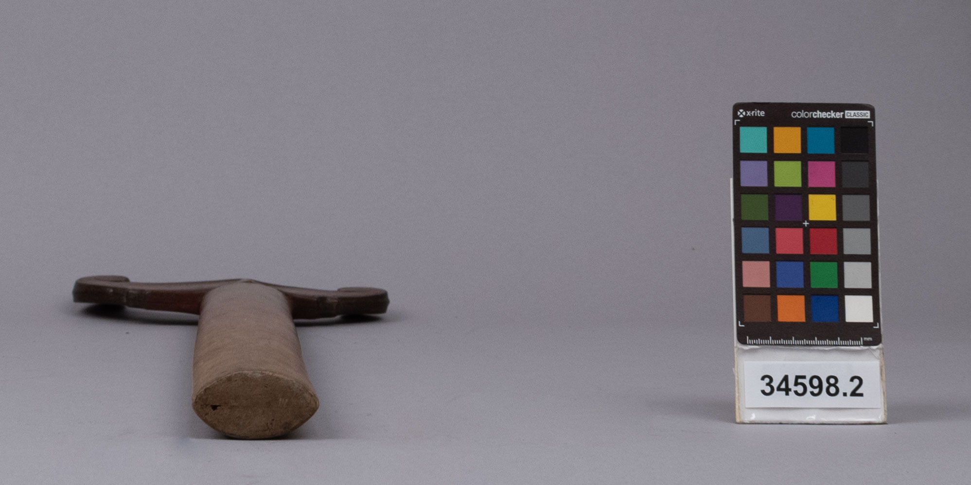 reference image, bottom view (c) Field Museum of Natural History - CC BY-NC 4.0