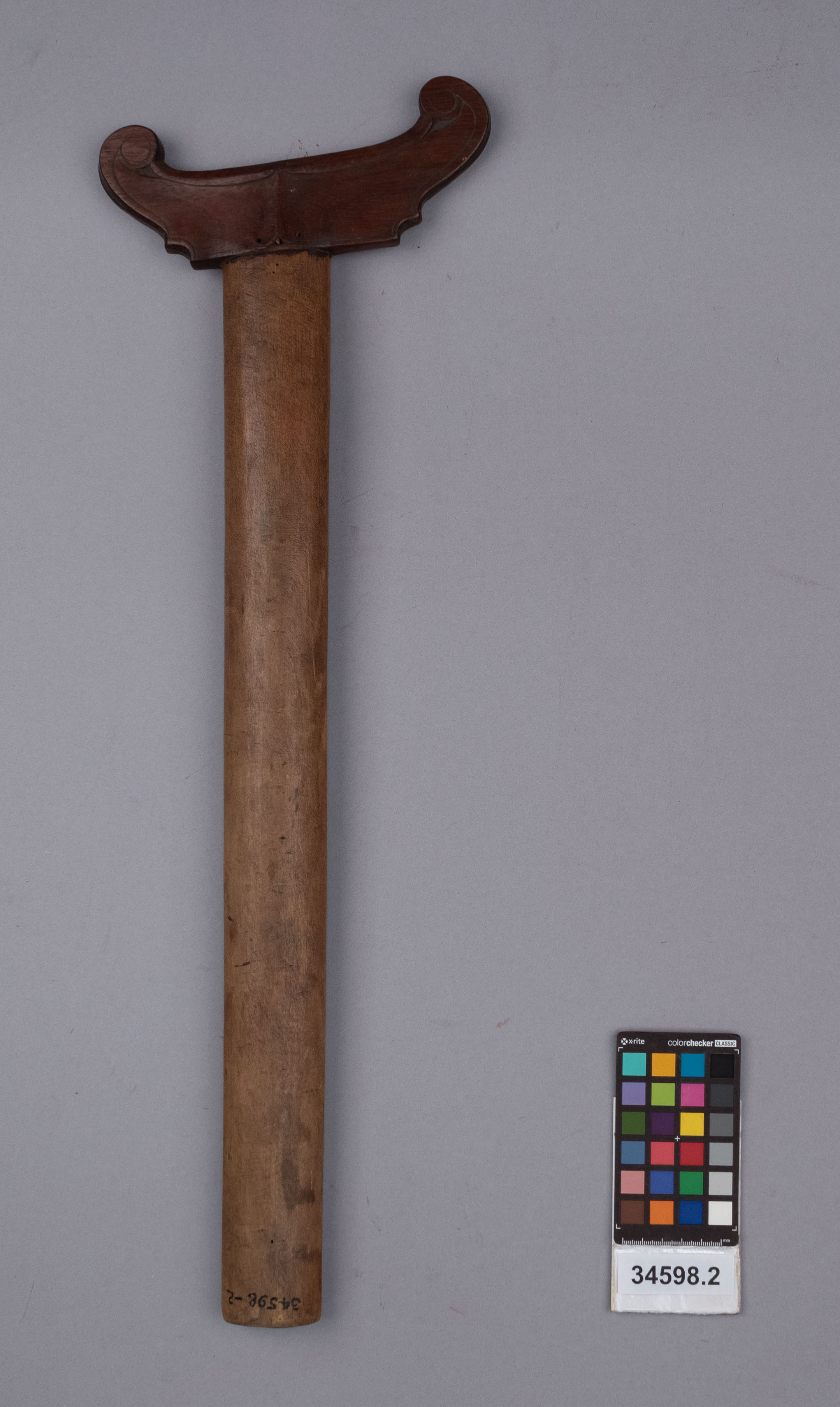 reference image, front view (c) Field Museum of Natural History - CC BY-NC 4.0