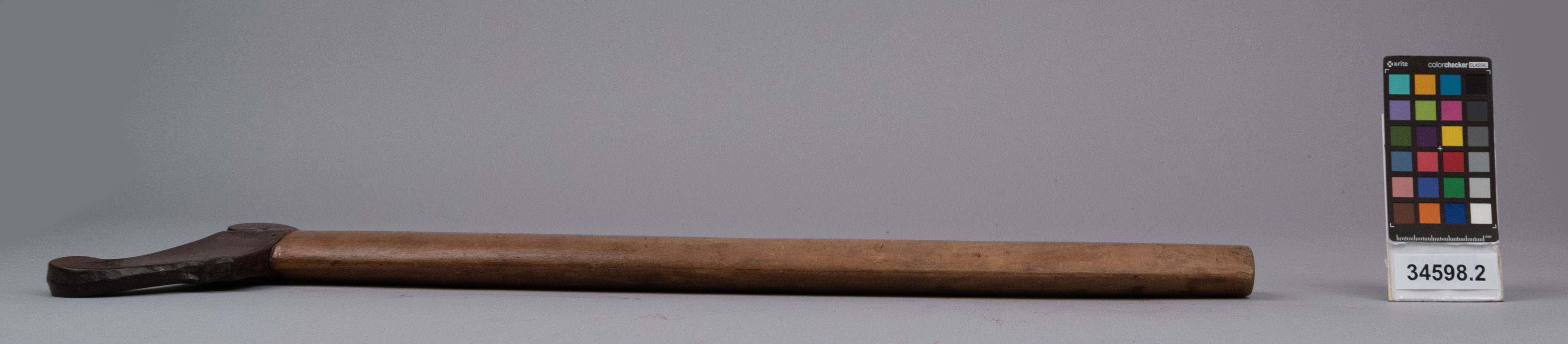 reference image, right view (c) Field Museum of Natural History - CC BY-NC 4.0