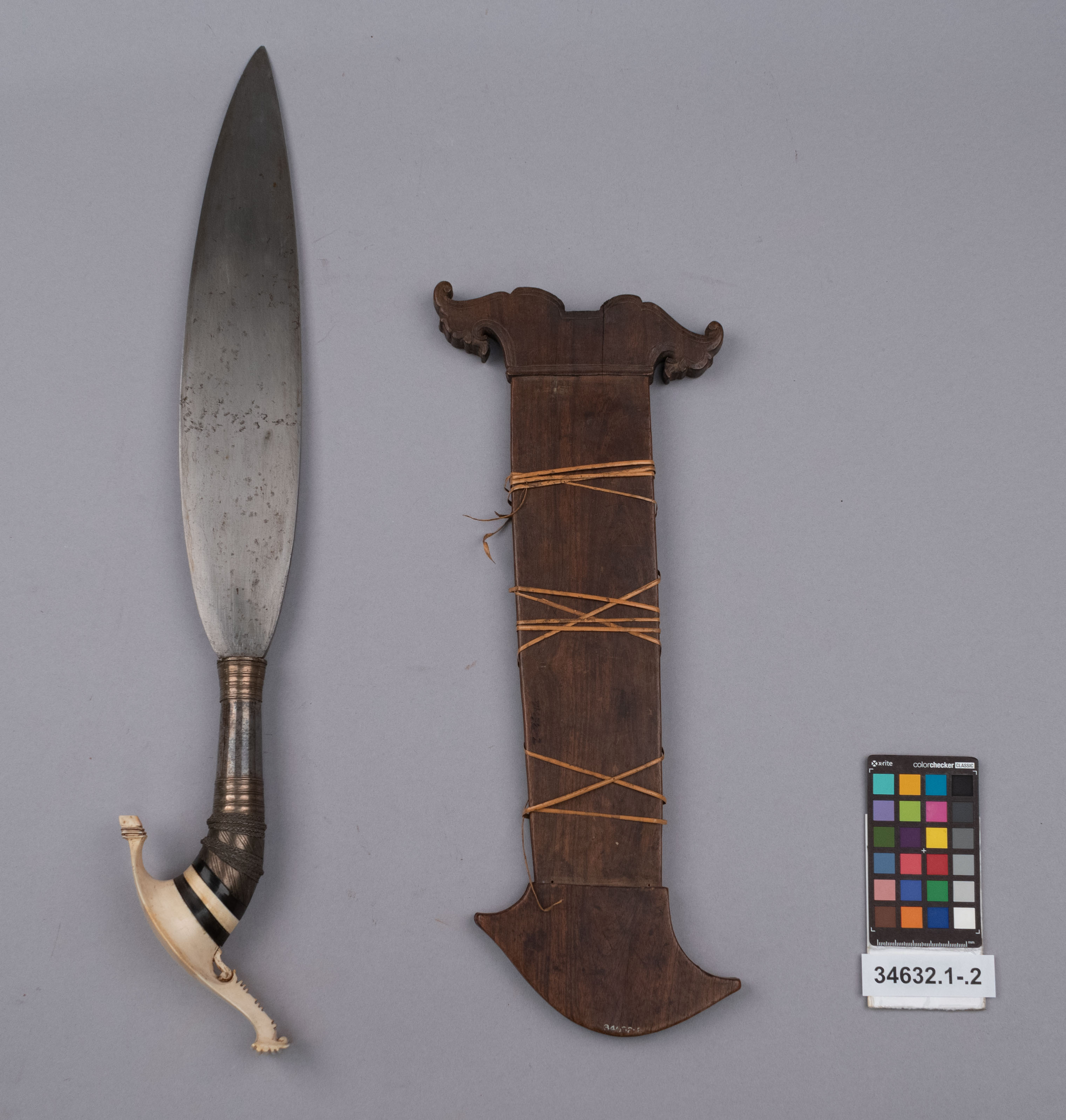 reference image, overall view (c) Field Museum of Natural History - CC BY-NC 4.0