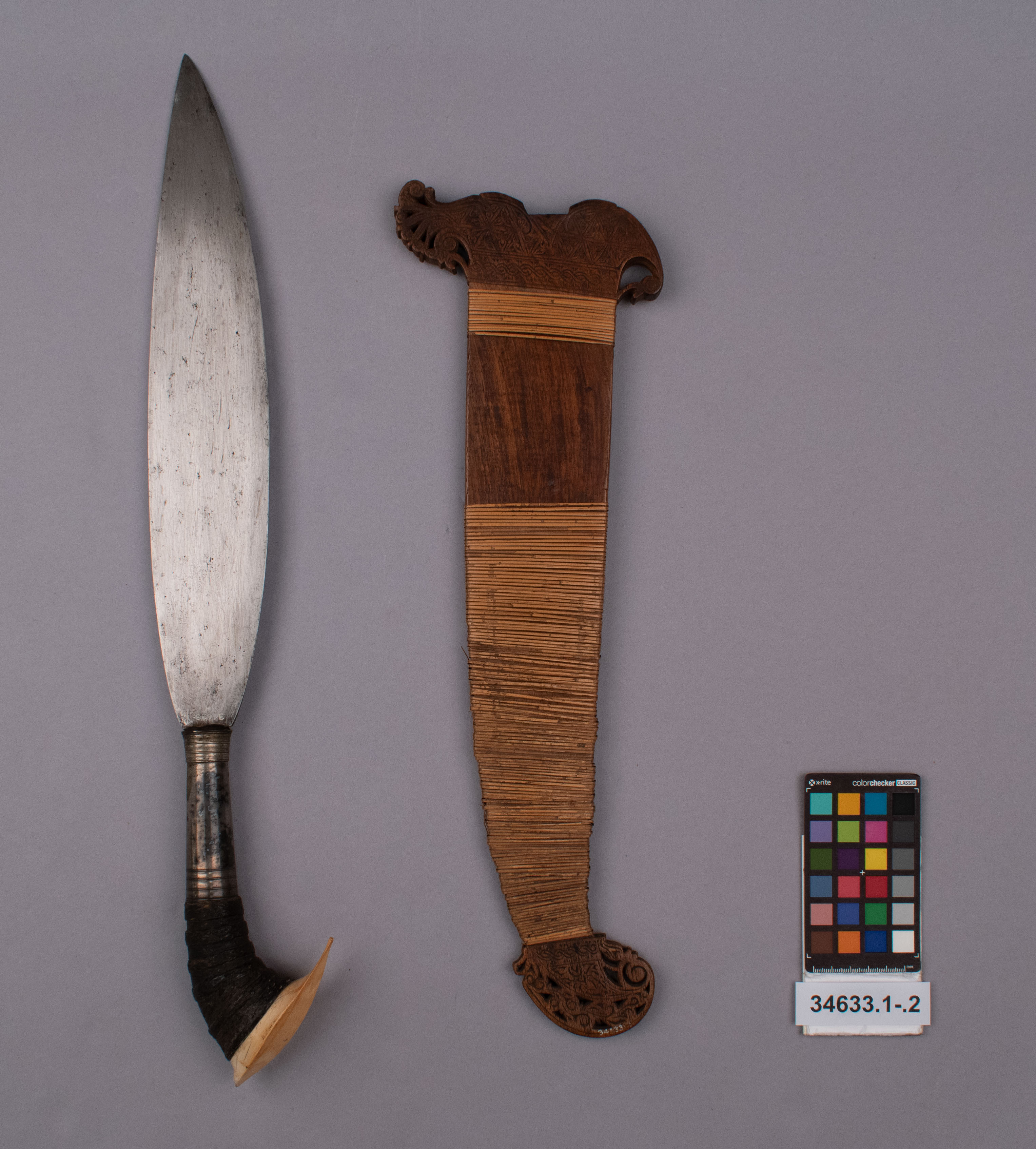 reference image, overall view (c) Field Museum of Natural History - CC BY-NC 4.0