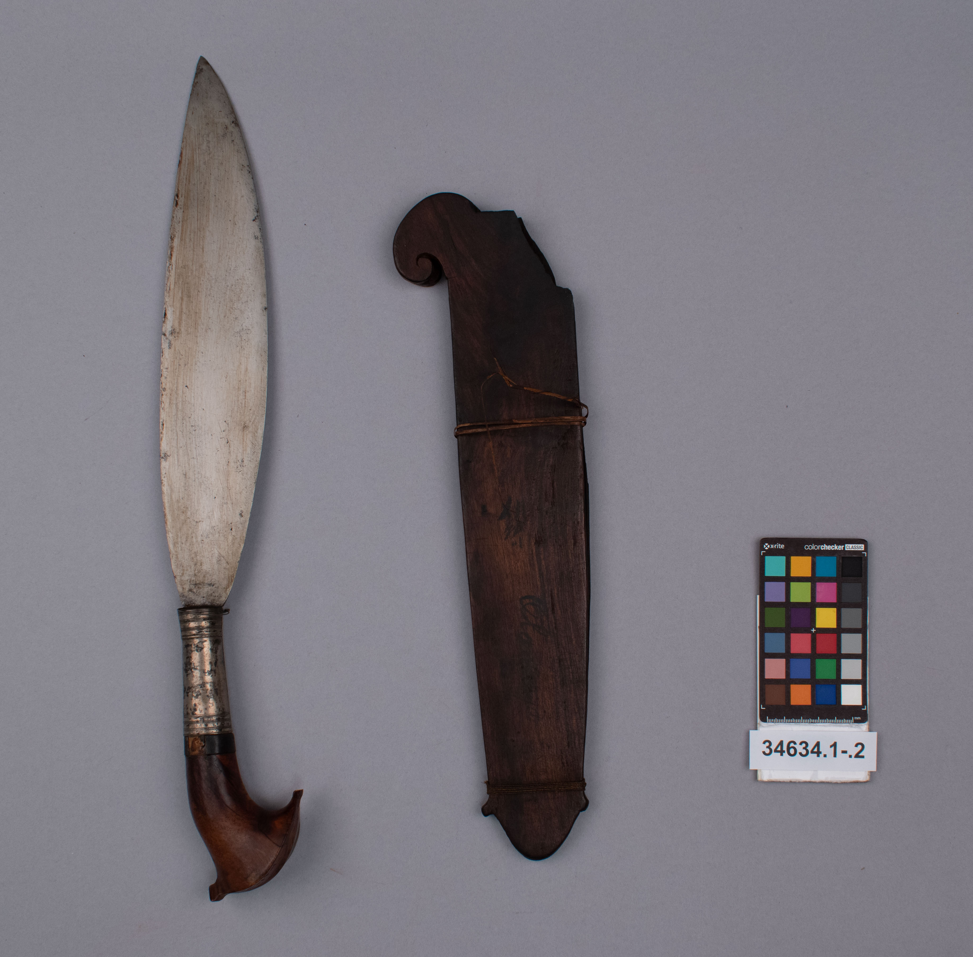 reference image, overall view (c) Field Museum of Natural History - CC BY-NC 4.0