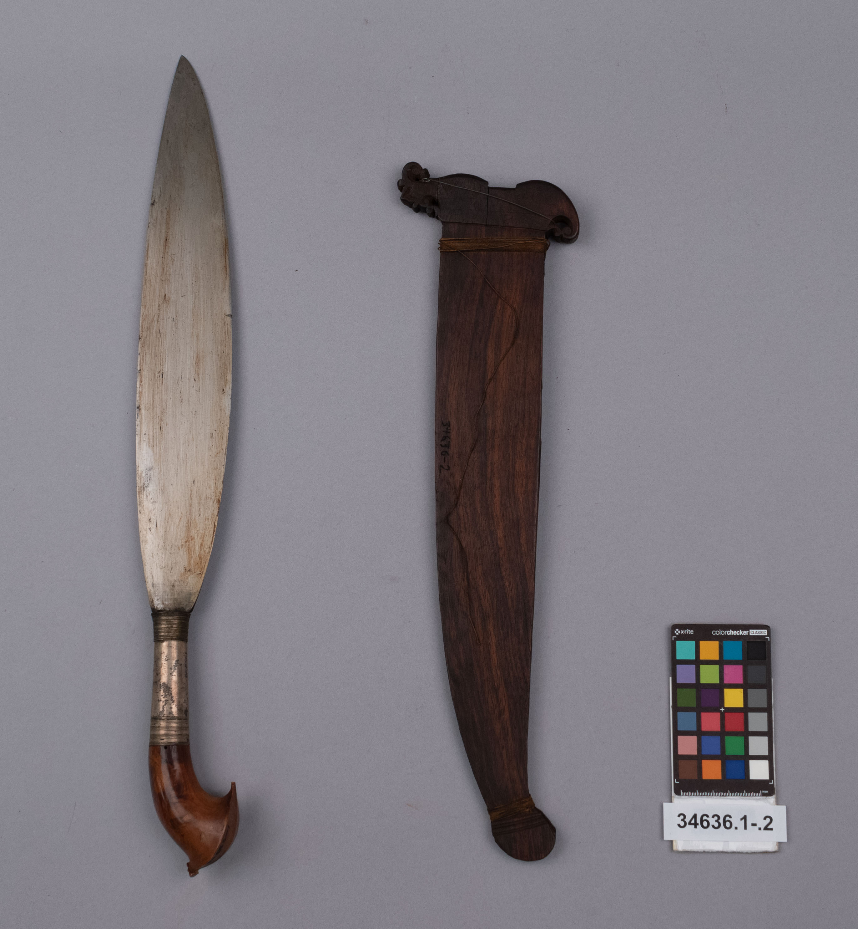 reference image, overall view (c) Field Museum of Natural History - CC BY-NC 4.0