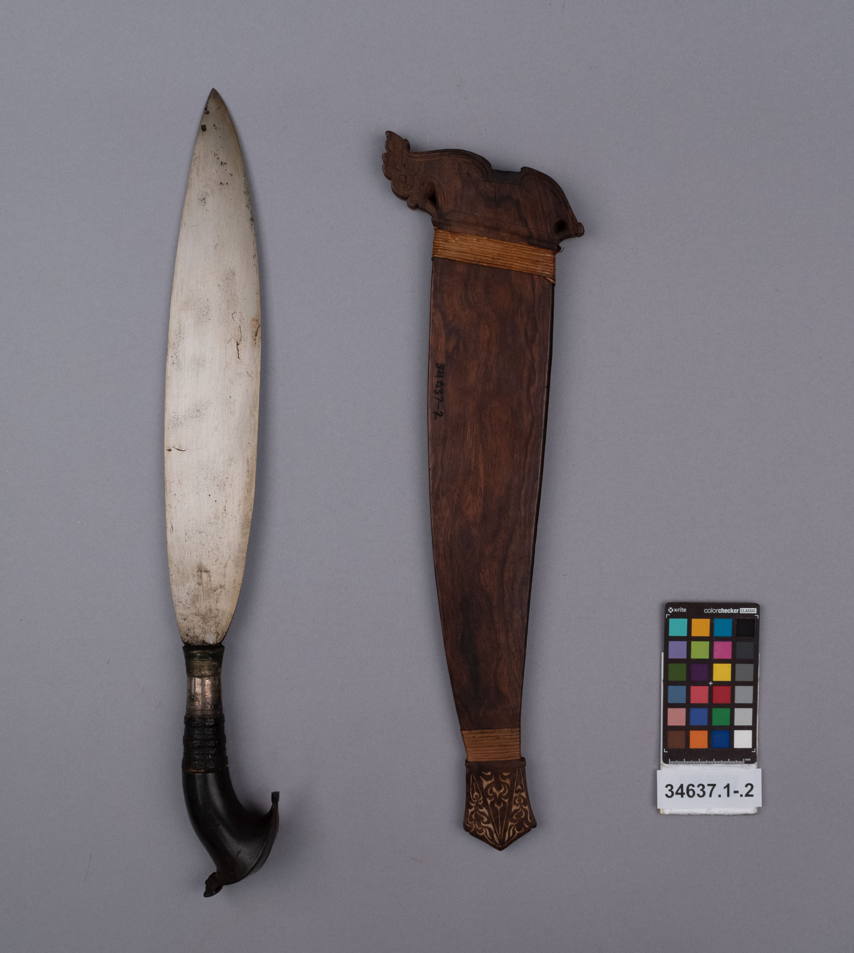 reference image, overall view (c) Field Museum of Natural History - CC BY-NC 4.0