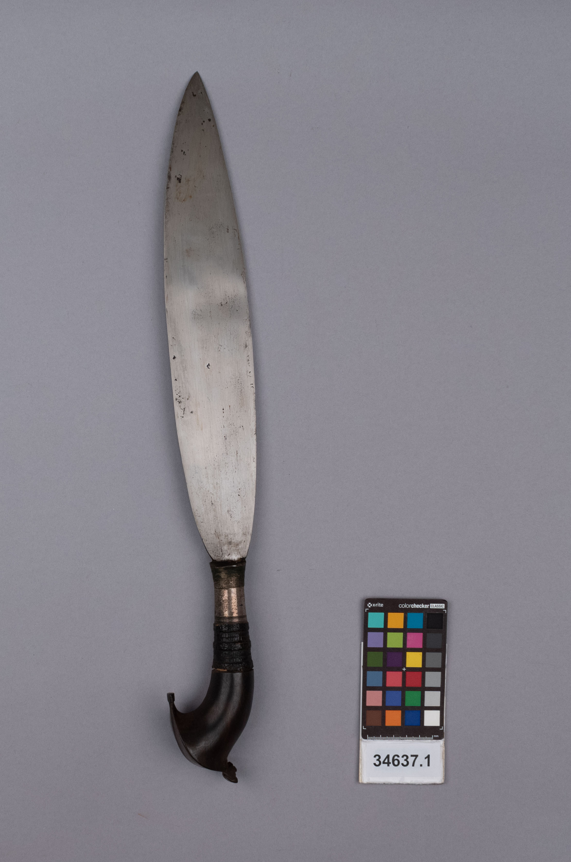 reference image, back view (c) Field Museum of Natural History - CC BY-NC 4.0