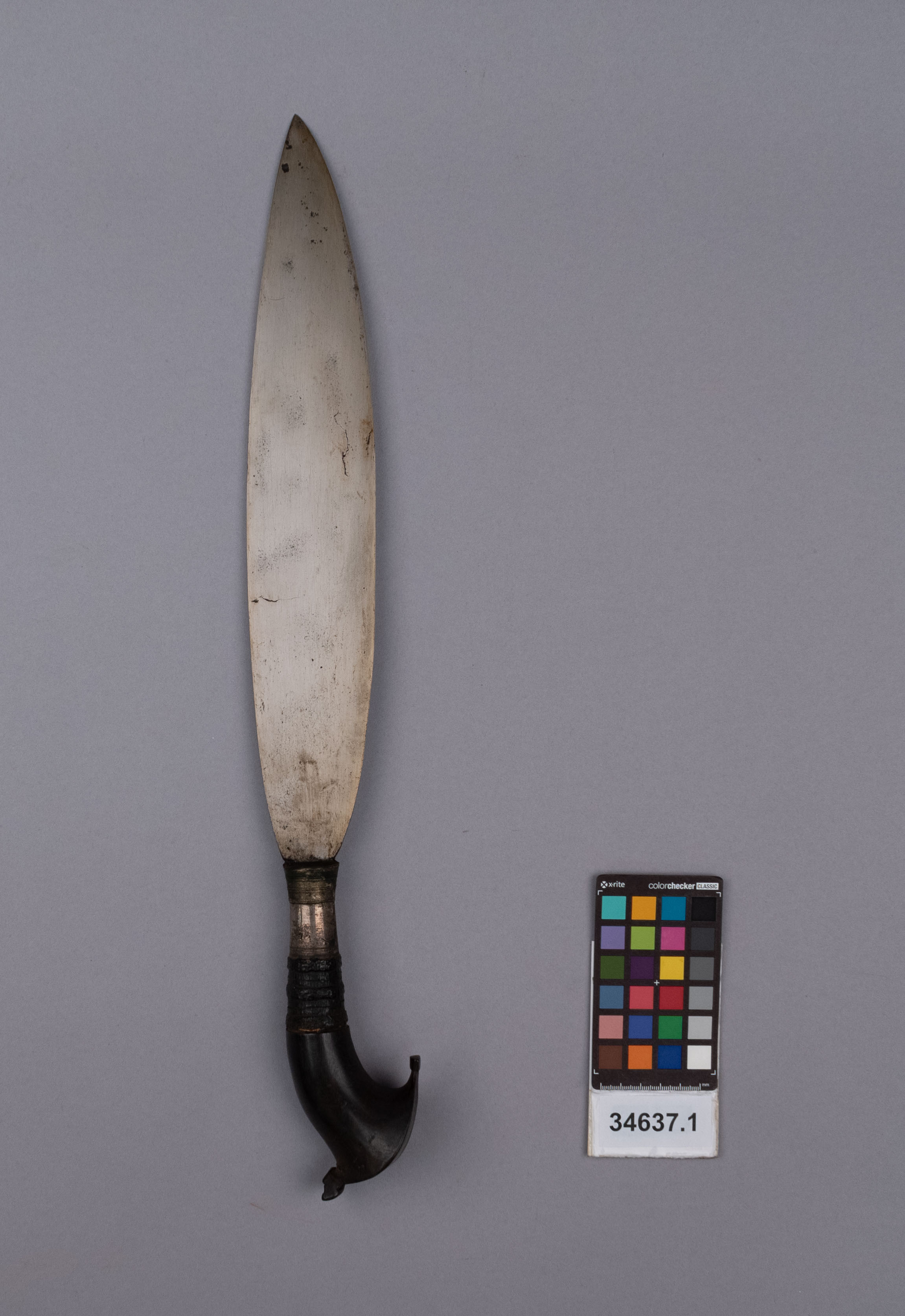 reference image, front view (c) Field Museum of Natural History - CC BY-NC 4.0