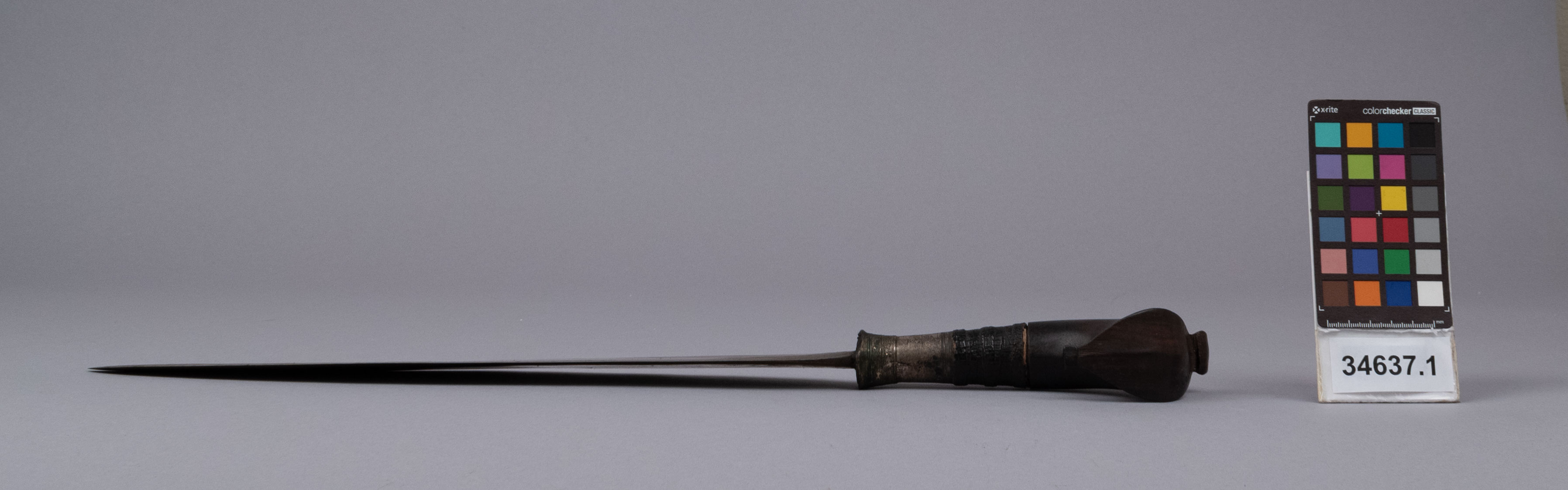 reference image, left view (c) Field Museum of Natural History - CC BY-NC 4.0