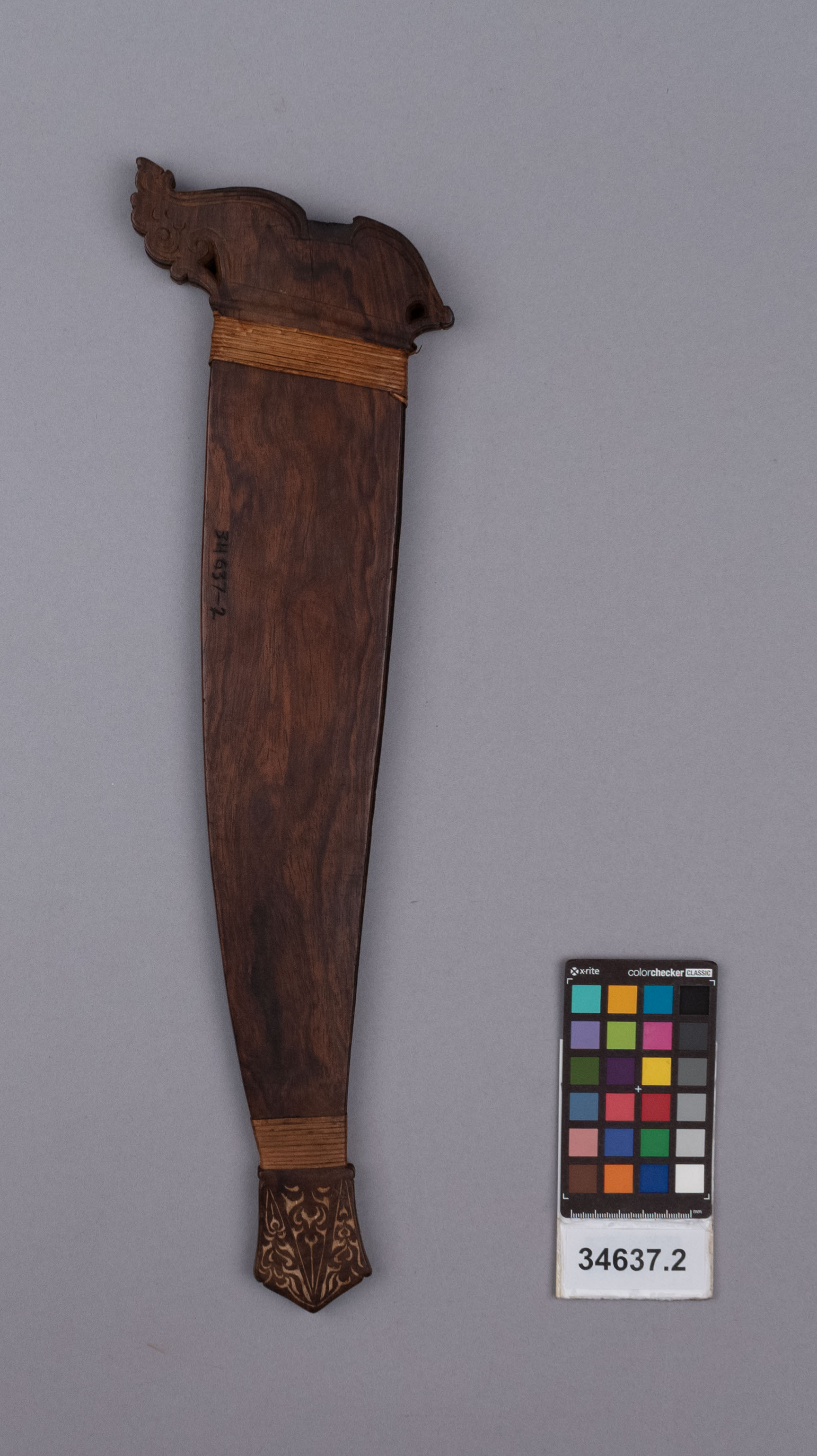 reference image, front view (c) Field Museum of Natural History - CC BY-NC 4.0