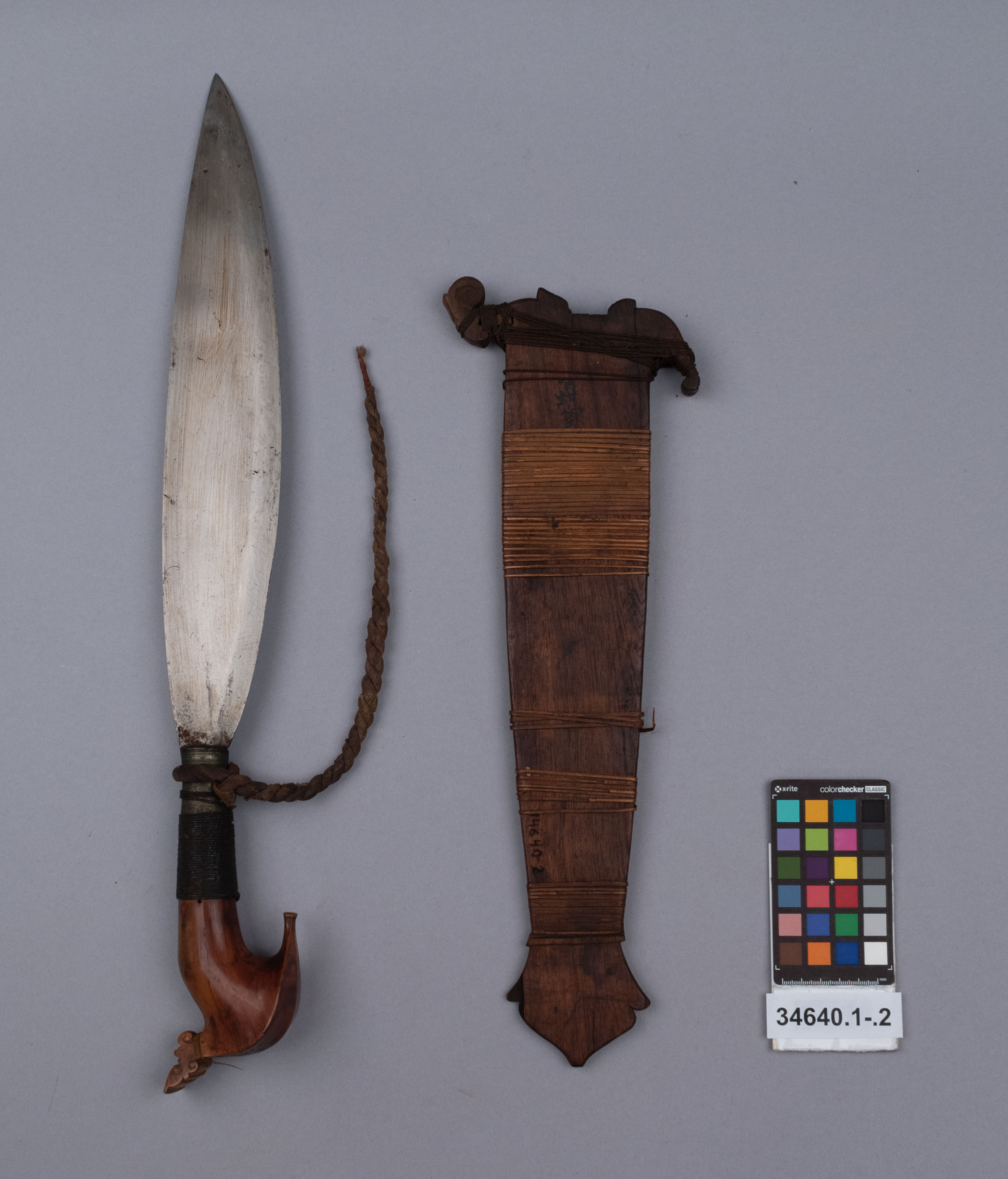 reference image, overall view (c) Field Museum of Natural History - CC BY-NC 4.0