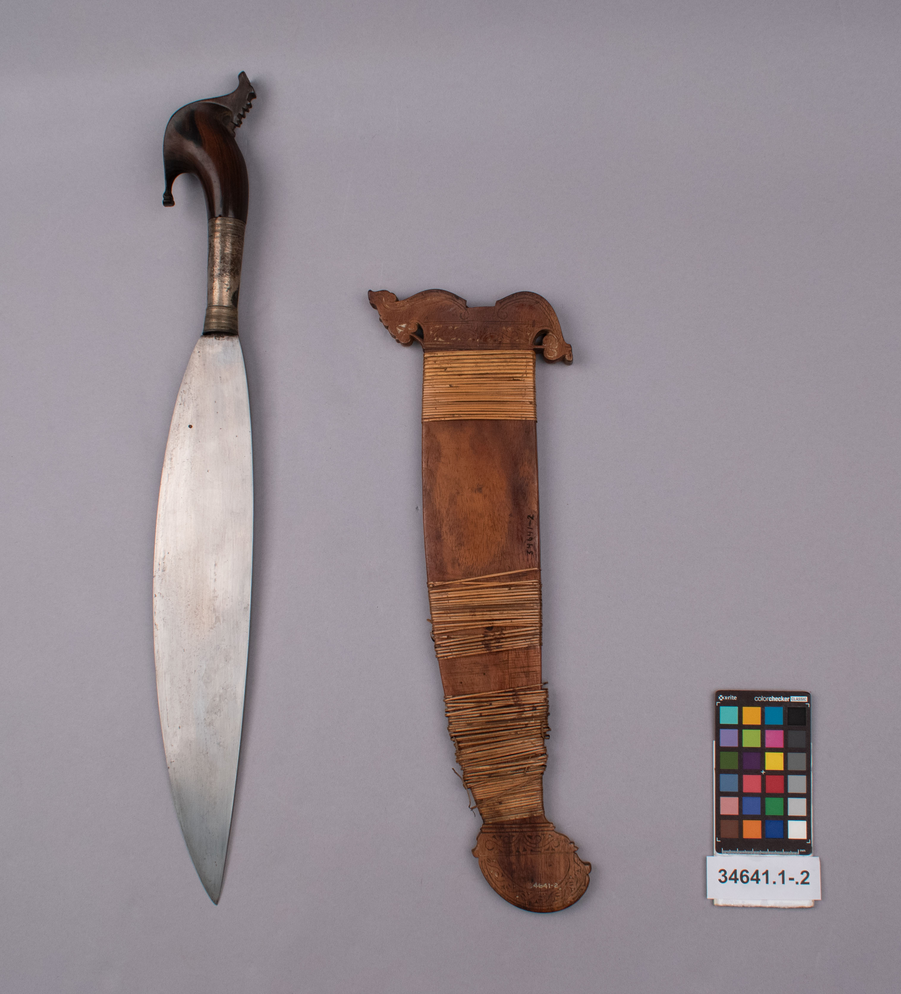 reference image, overall view (c) Field Museum of Natural History - CC BY-NC 4.0