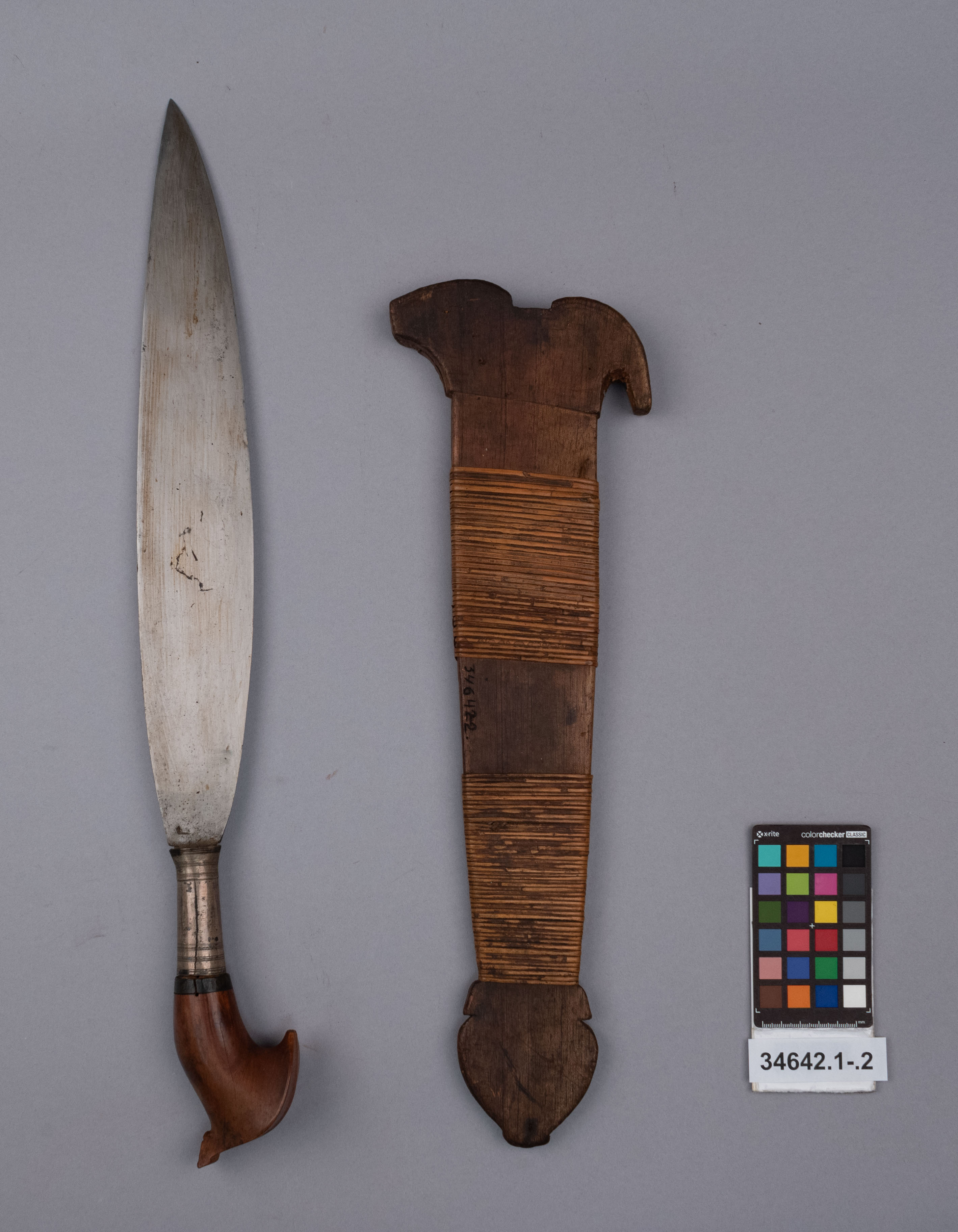 reference image, overall view (c) Field Museum of Natural History - CC BY-NC 4.0