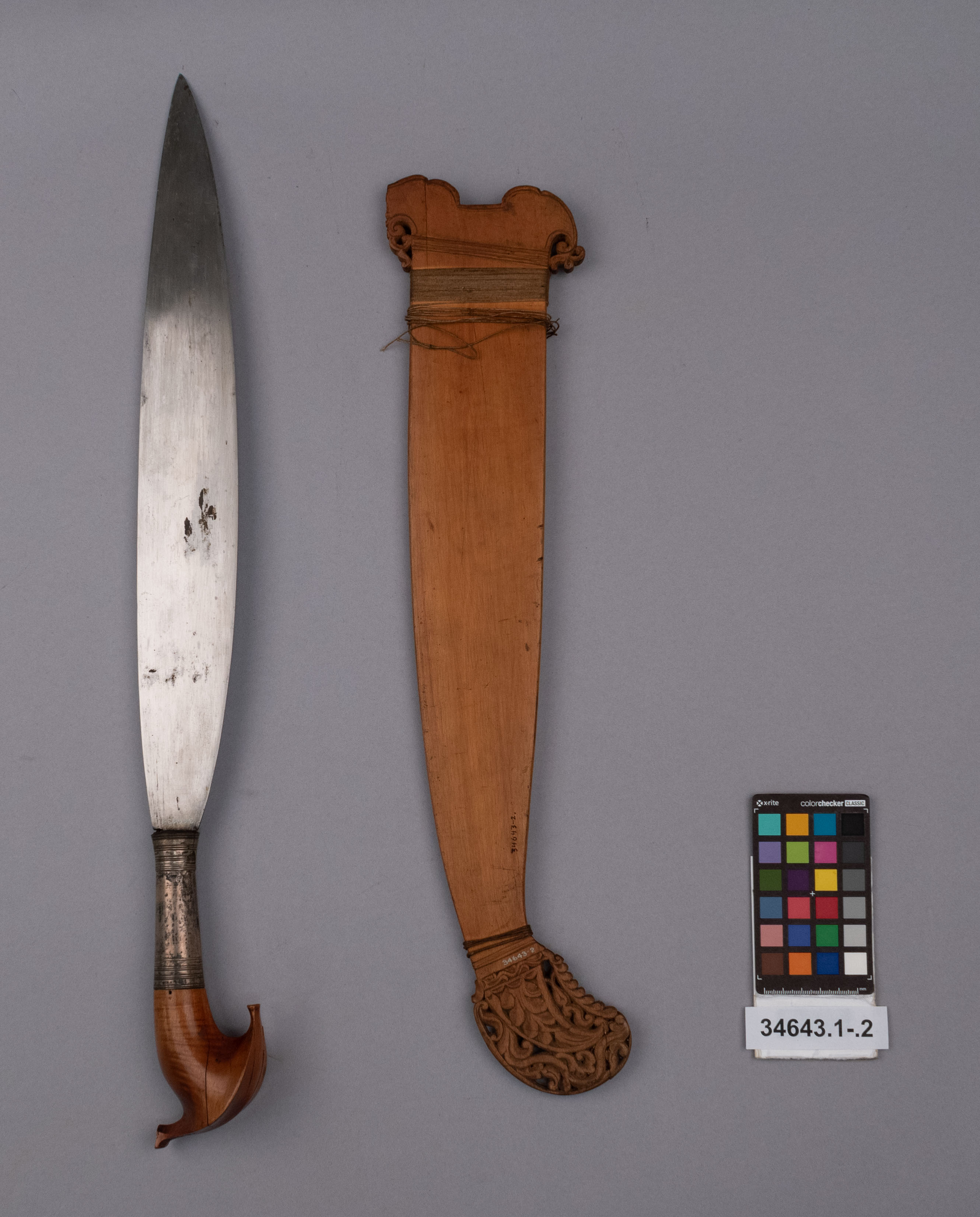 reference image, overall view (c) Field Museum of Natural History - CC BY-NC 4.0