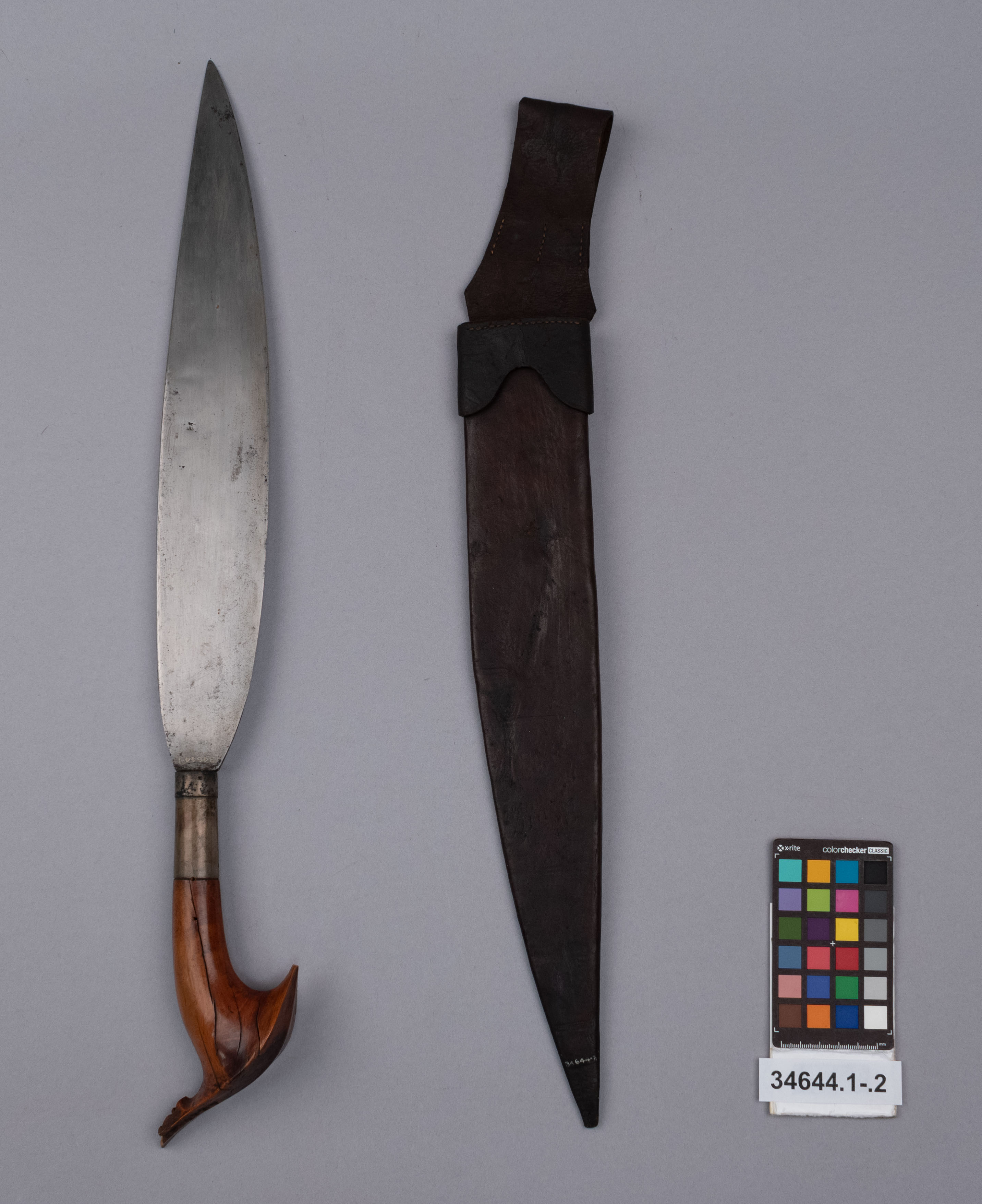 reference image, overall view (c) Field Museum of Natural History - CC BY-NC 4.0