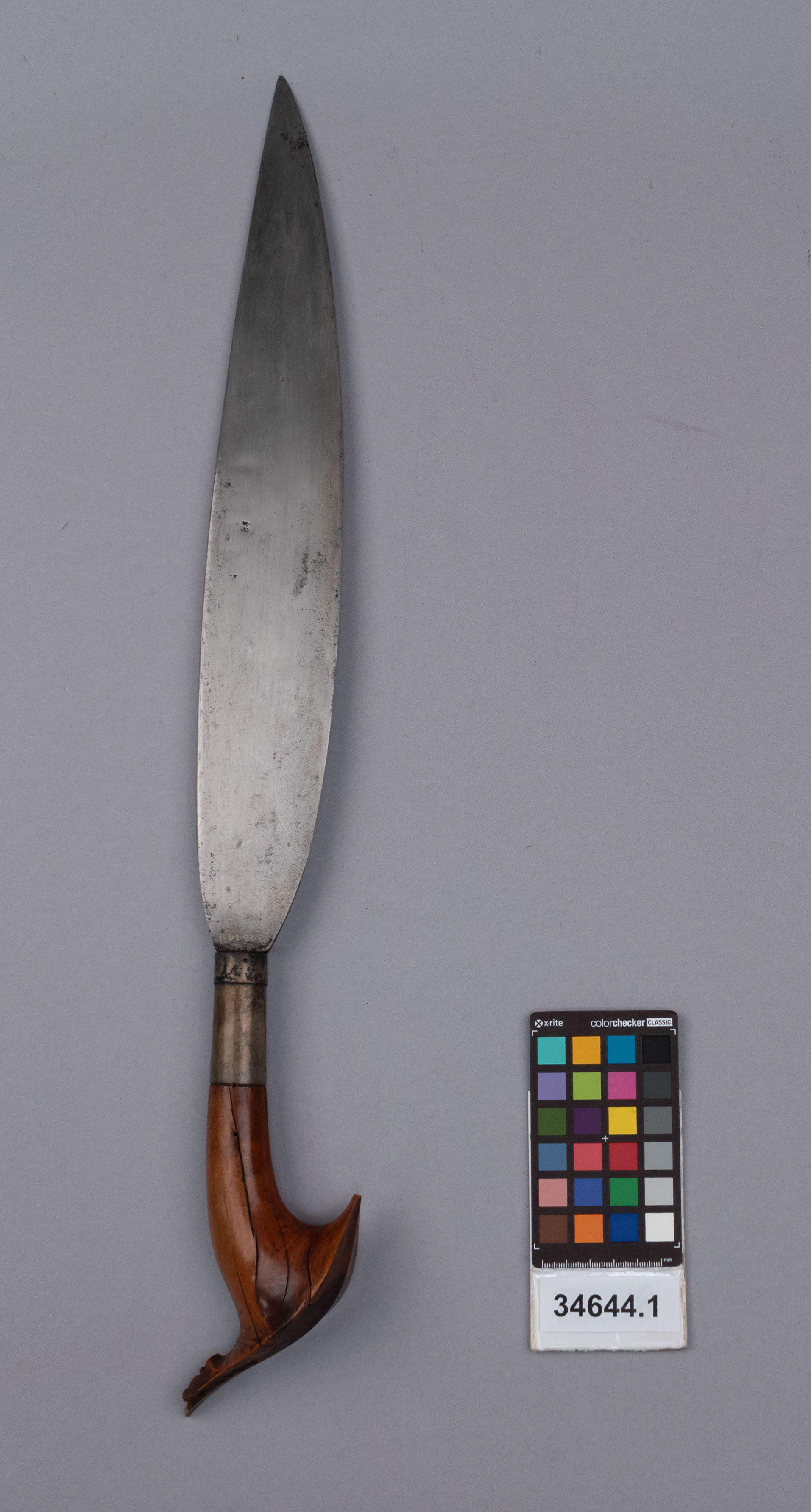 reference image, front view (c) Field Museum of Natural History - CC BY-NC 4.0