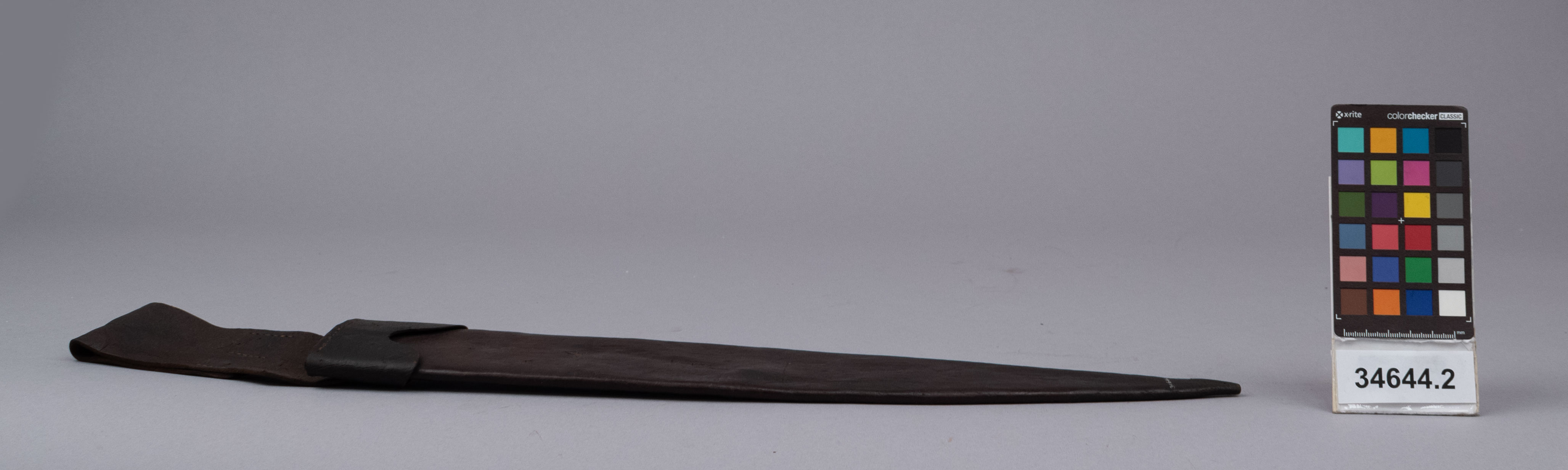 reference image, right view (c) Field Museum of Natural History - CC BY-NC 4.0