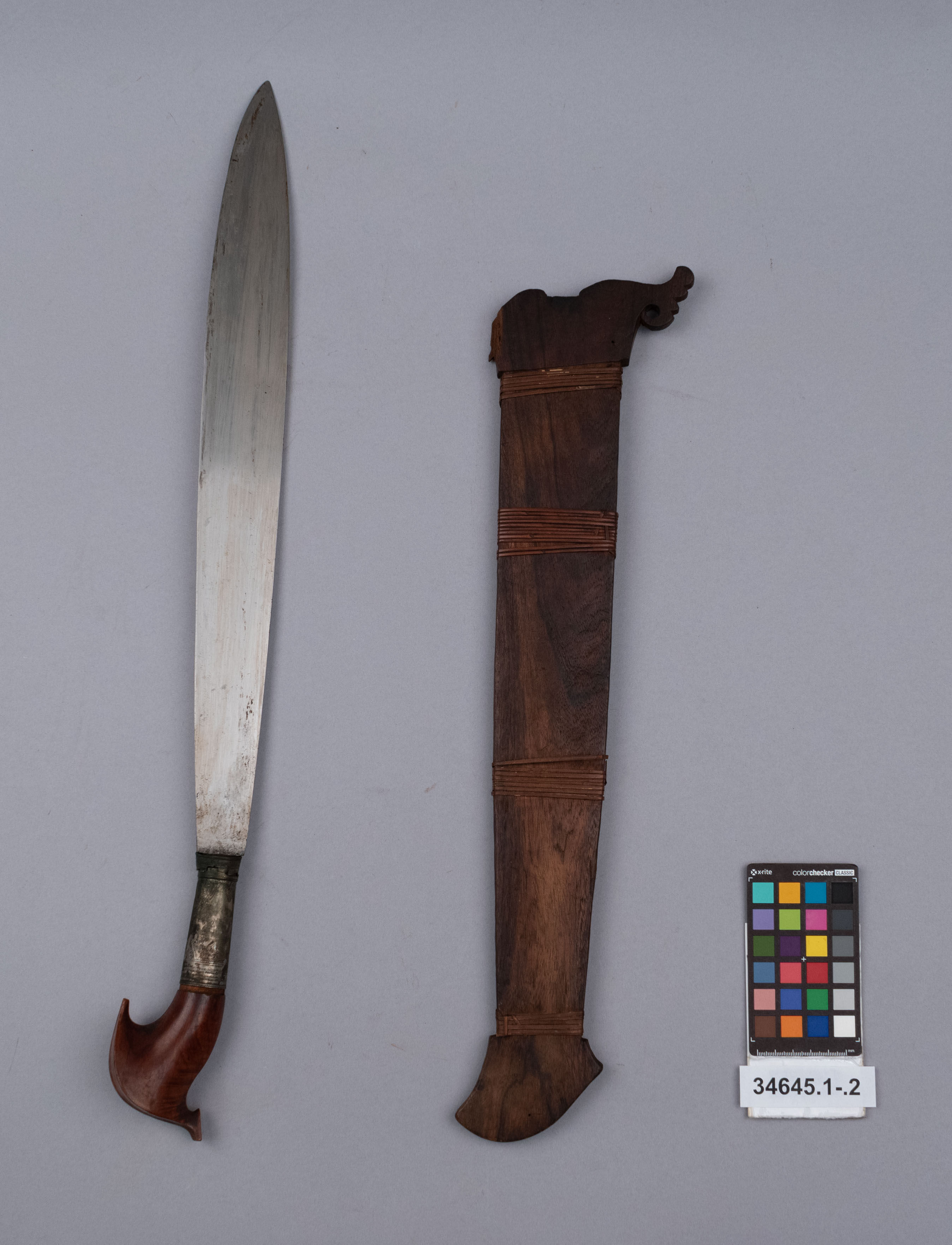 reference image, overall view (c) Field Museum of Natural History - CC BY-NC 4.0