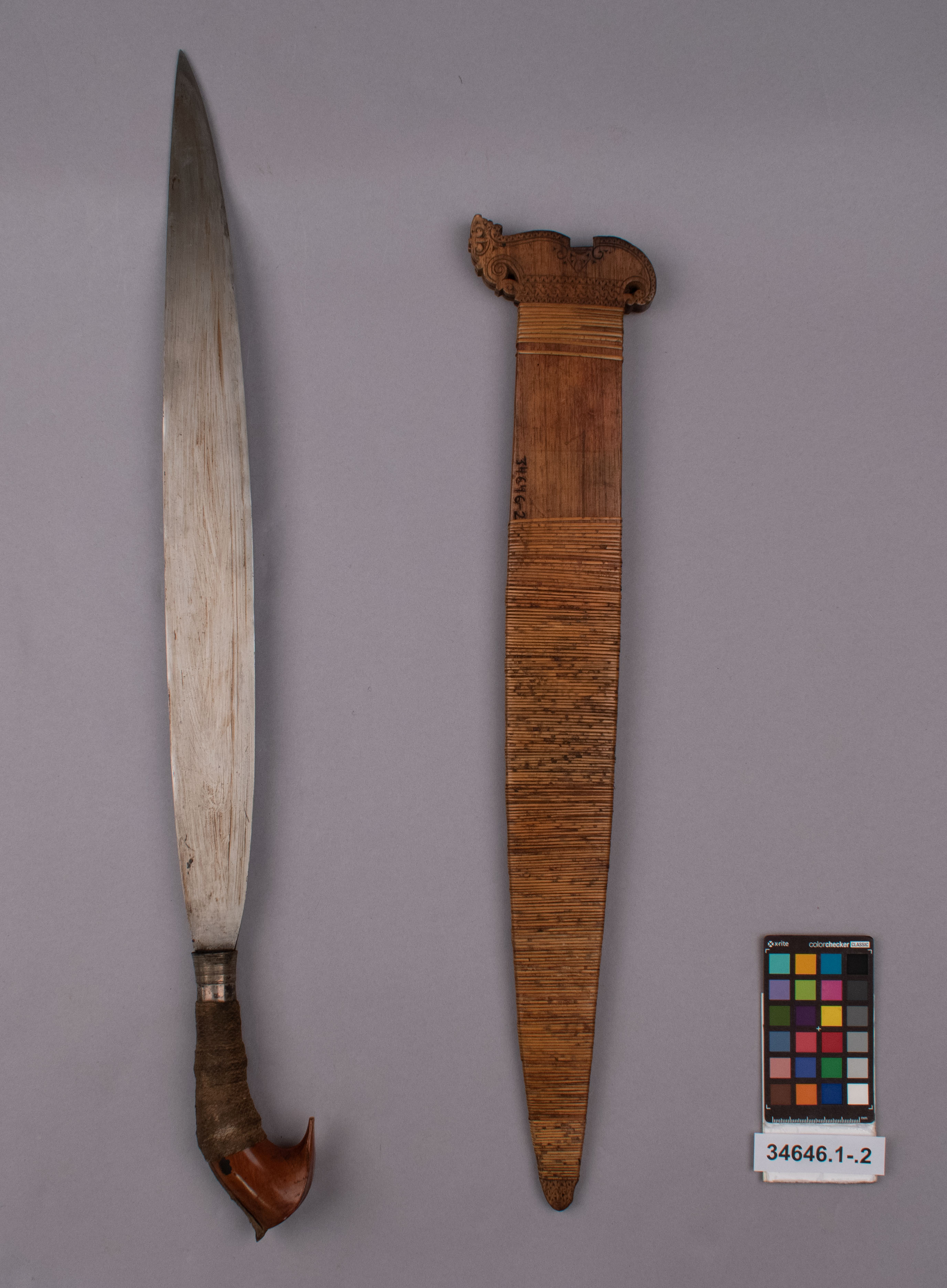 reference image, overall view (c) Field Museum of Natural History - CC BY-NC 4.0