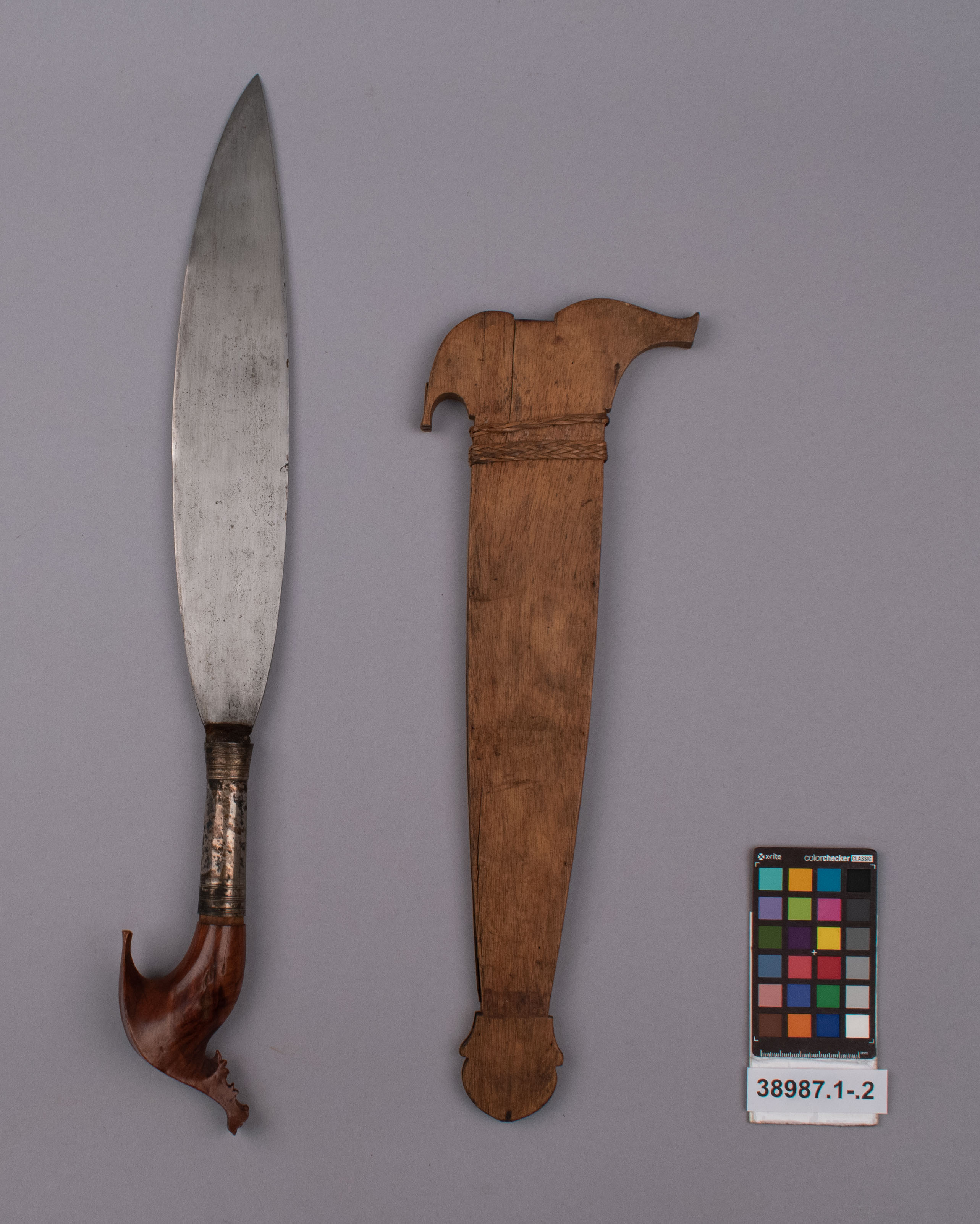 reference image, overall view (c) Field Museum of Natural History - CC BY-NC 4.0