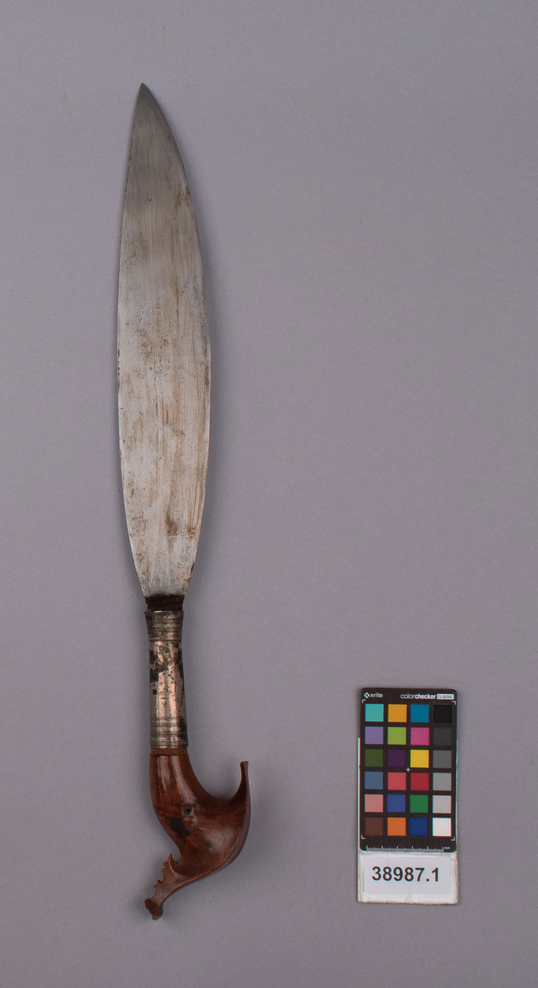 reference image, back view (c) Field Museum of Natural History - CC BY-NC 4.0