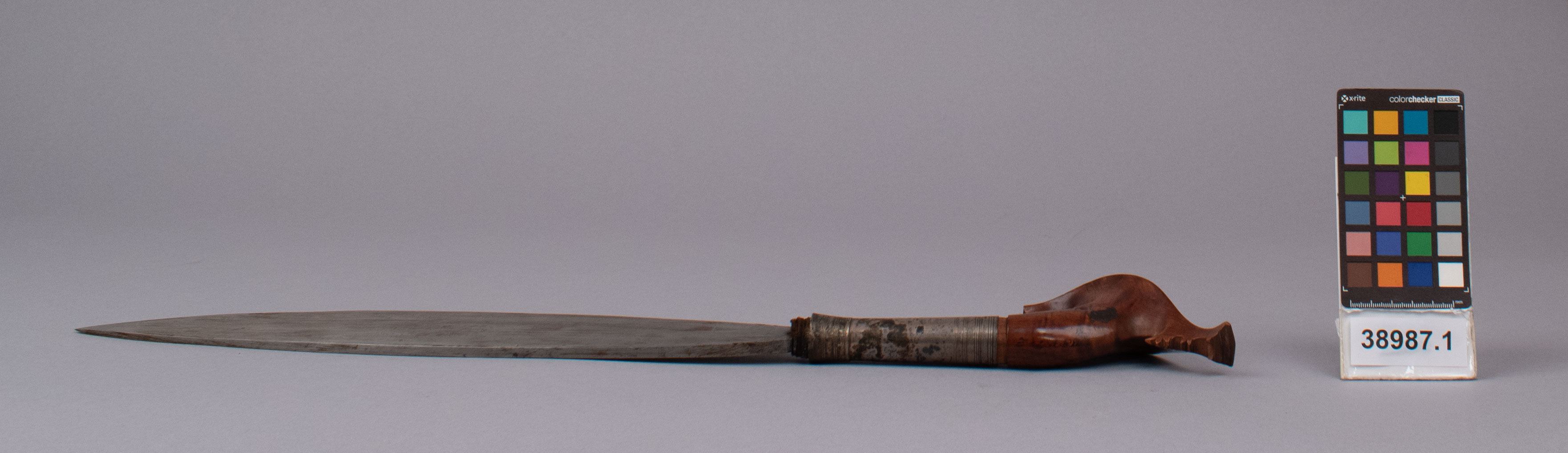 reference image, left view (c) Field Museum of Natural History - CC BY-NC 4.0