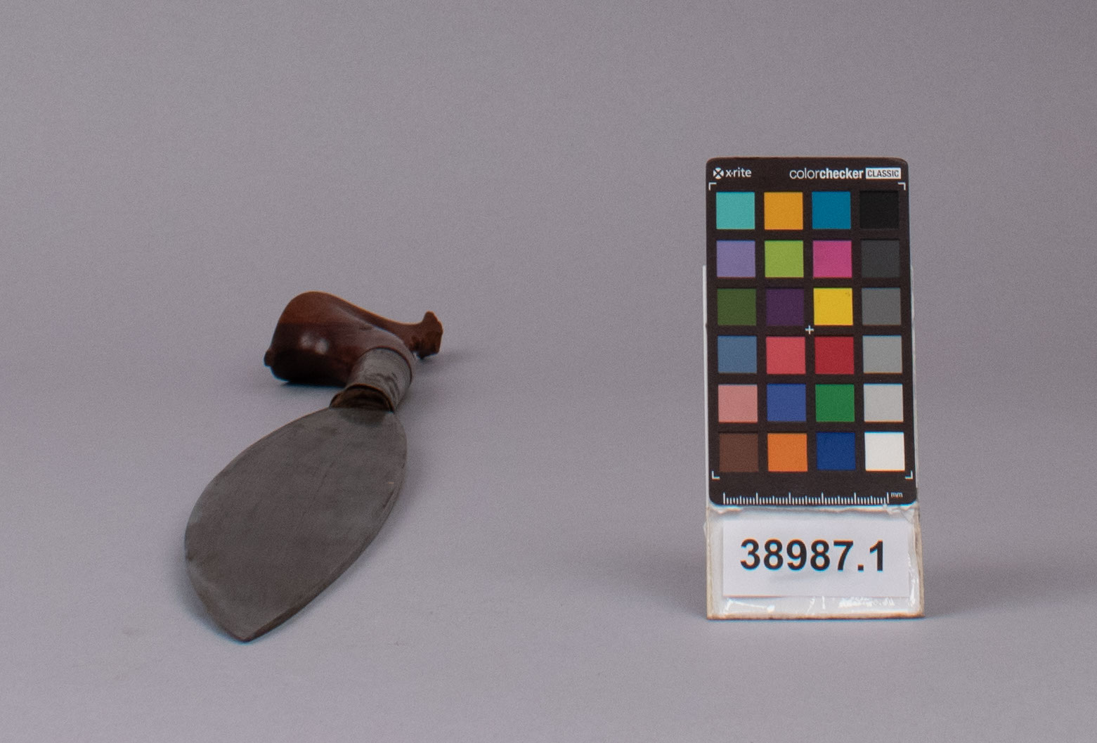 reference image, top view (c) Field Museum of Natural History - CC BY-NC 4.0