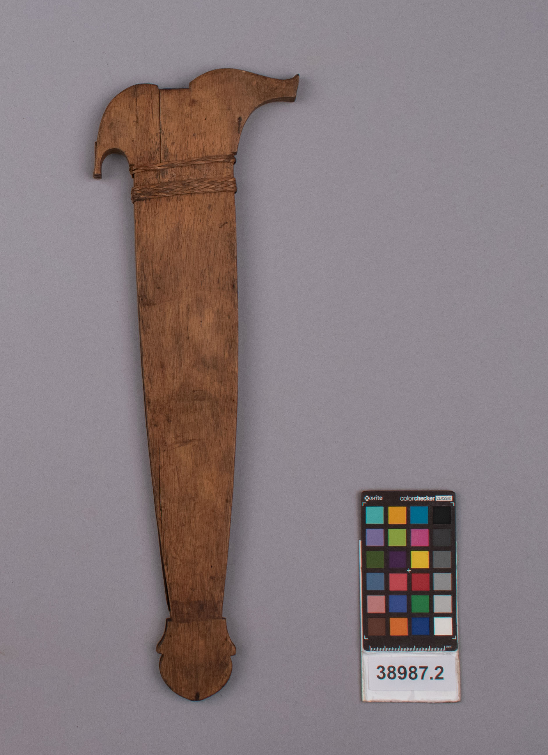 reference image, front view (c) Field Museum of Natural History - CC BY-NC 4.0