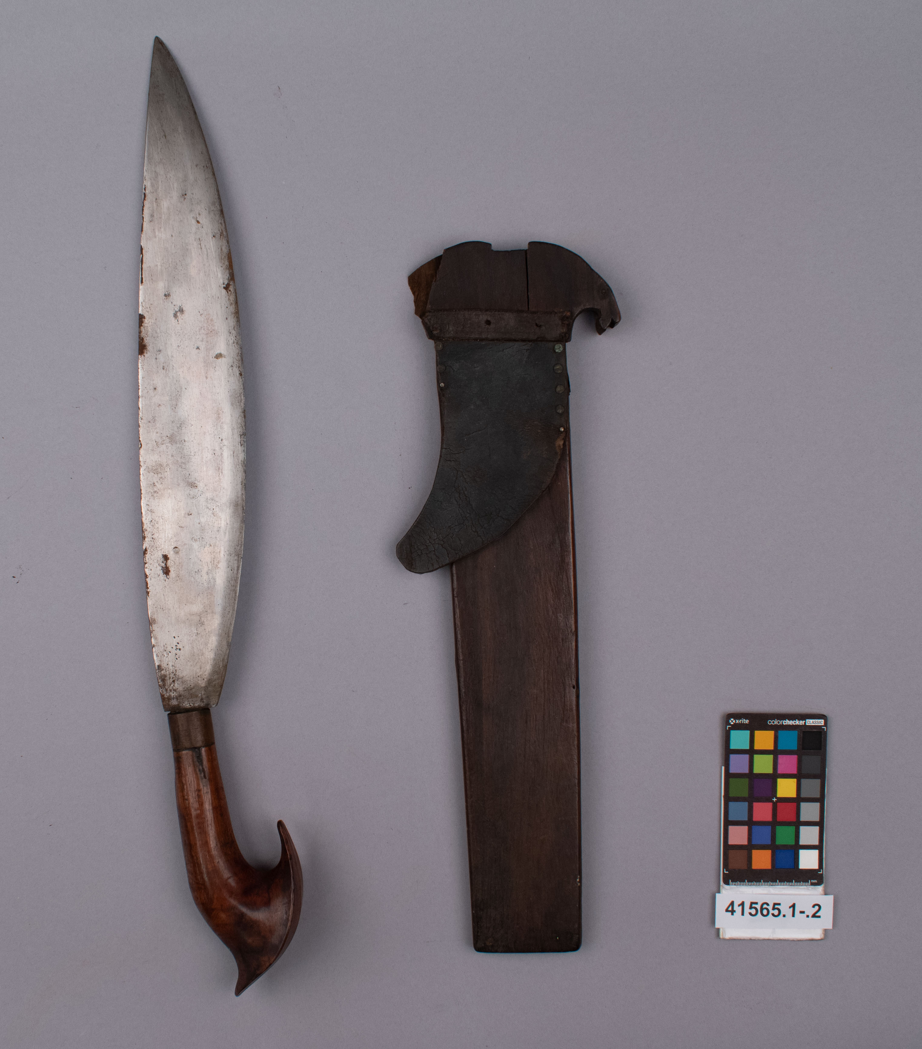 reference image, overall view (c) Field Museum of Natural History - CC BY-NC 4.0