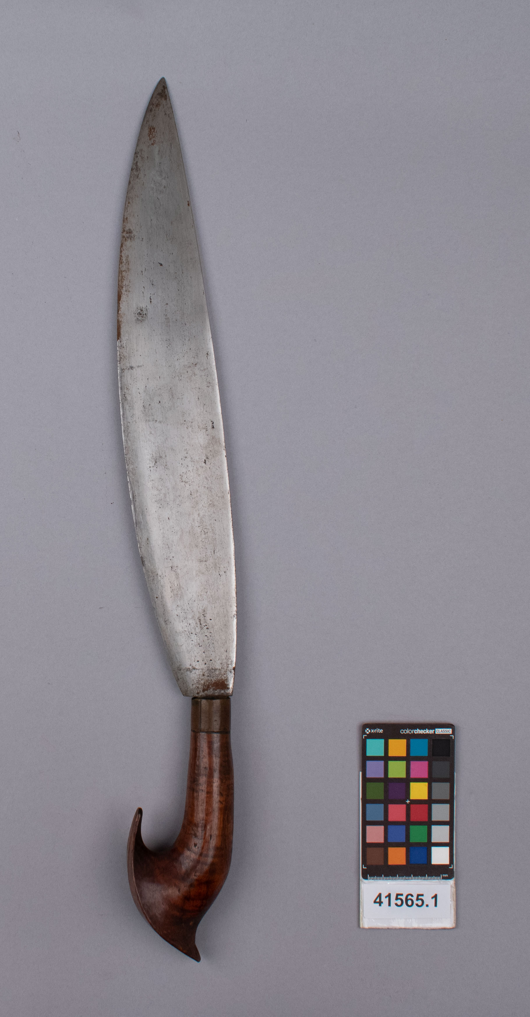 reference image, back view (c) Field Museum of Natural History - CC BY-NC 4.0