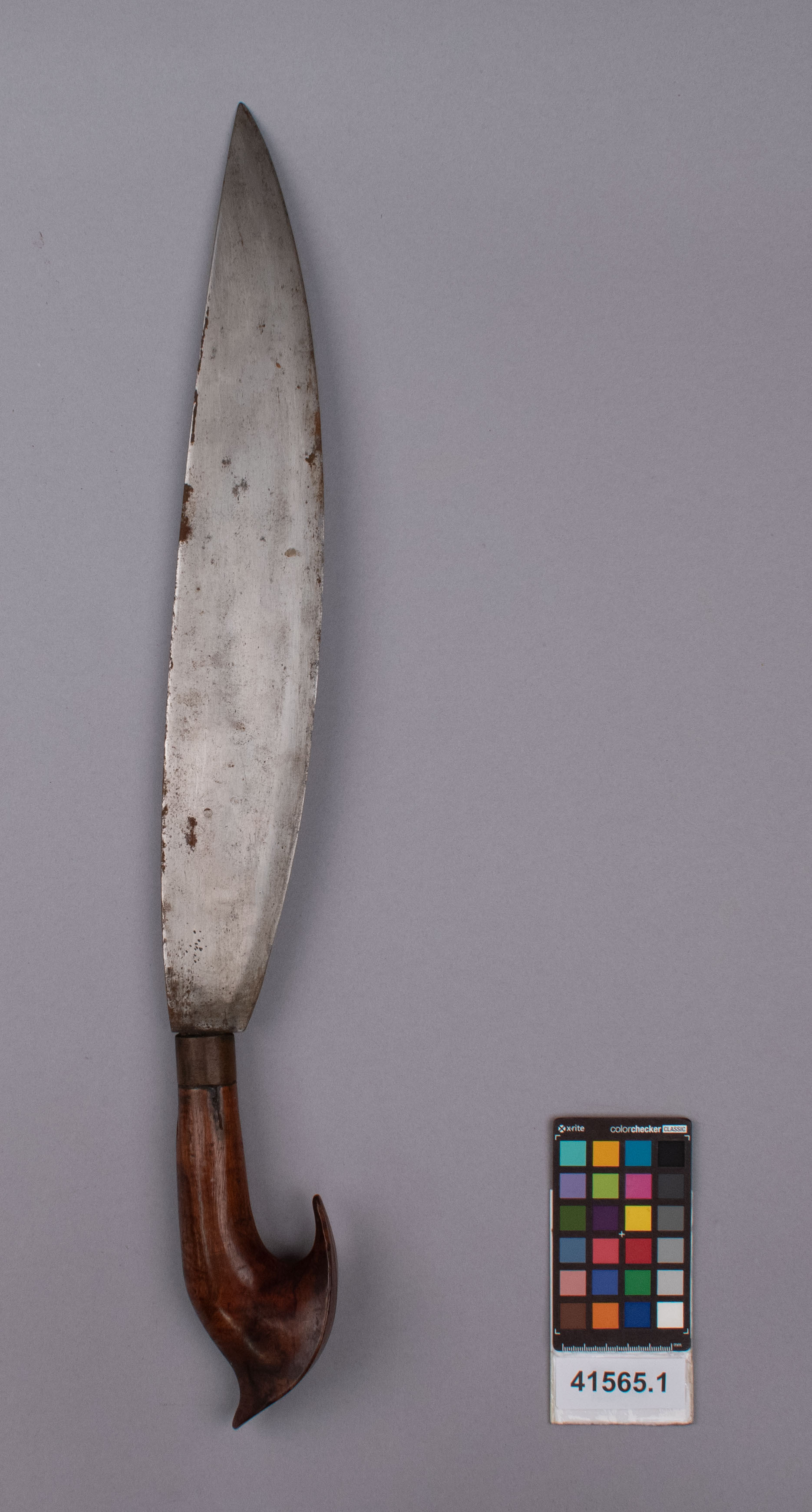 reference image, front view (c) Field Museum of Natural History - CC BY-NC 4.0