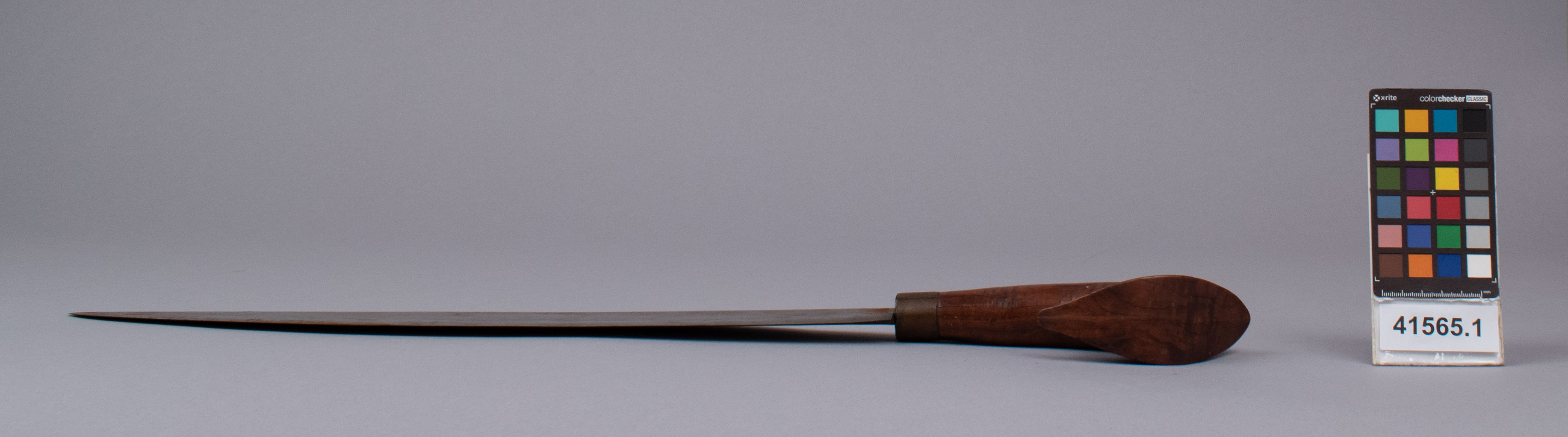 reference image, left view (c) Field Museum of Natural History - CC BY-NC 4.0