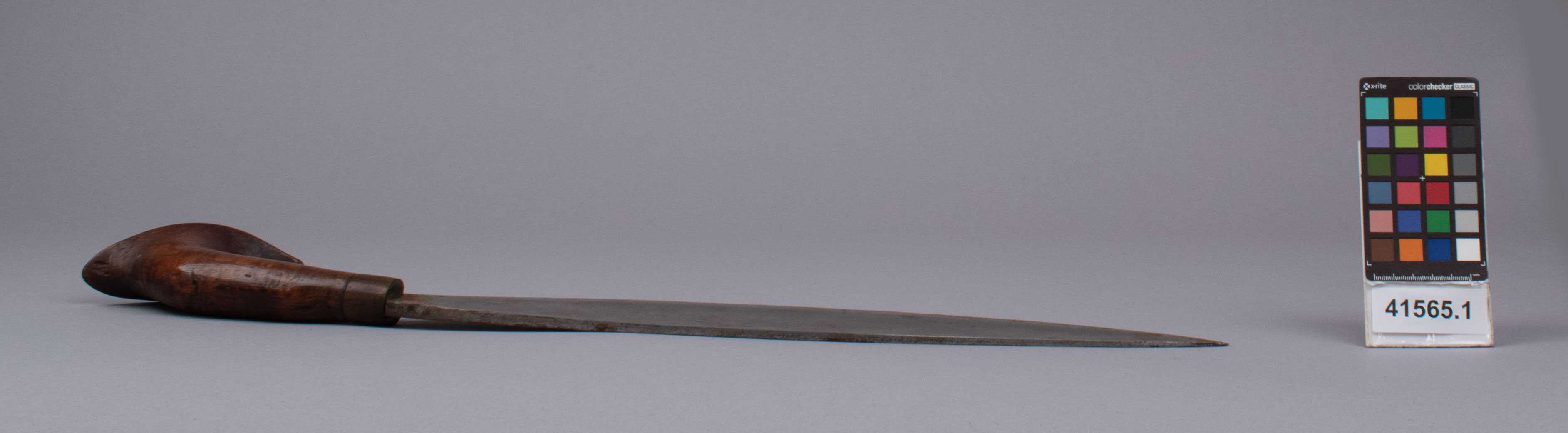 reference image, right view (c) Field Museum of Natural History - CC BY-NC 4.0