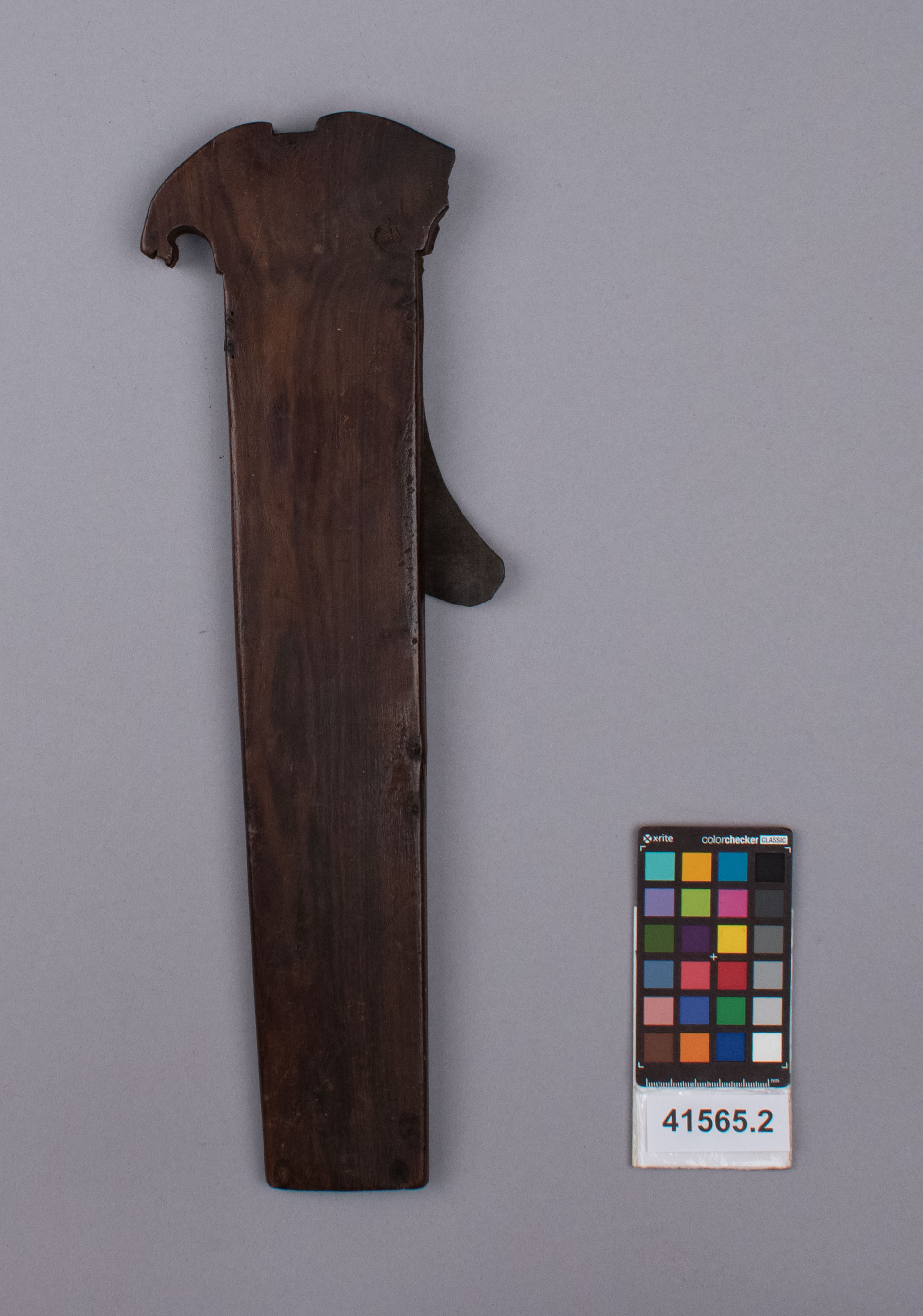 reference image, back view (c) Field Museum of Natural History - CC BY-NC 4.0