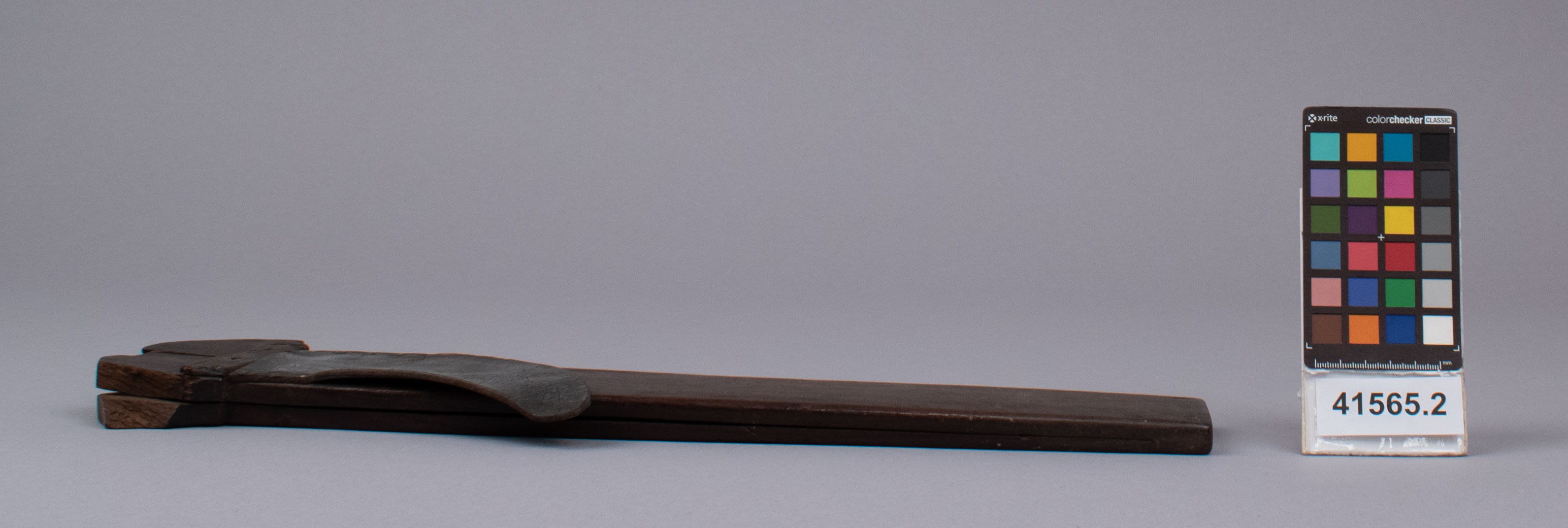 reference image, right view (c) Field Museum of Natural History - CC BY-NC 4.0