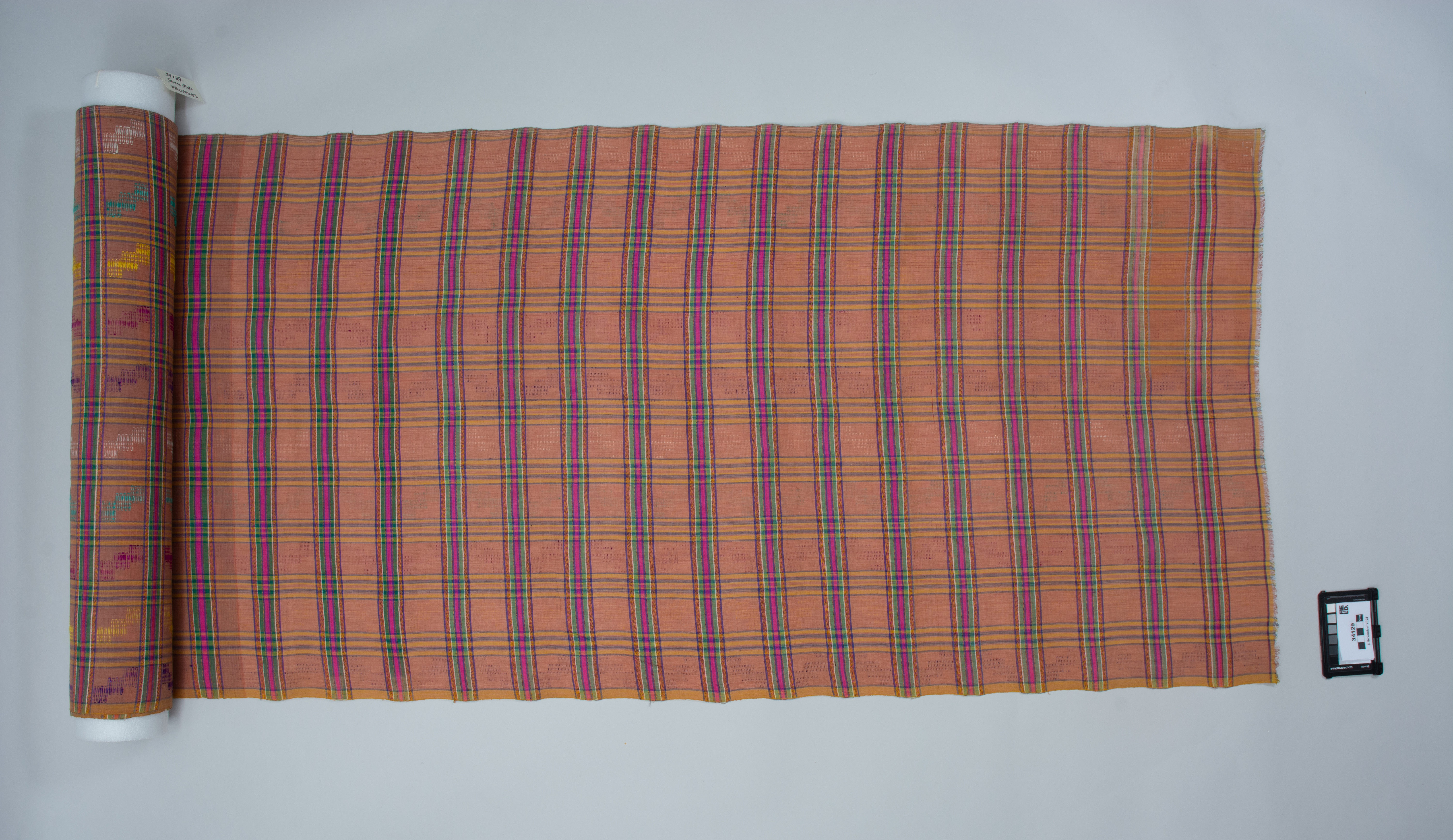 overall view (c) Field Museum of Natural History - CC BY-NC 4.0