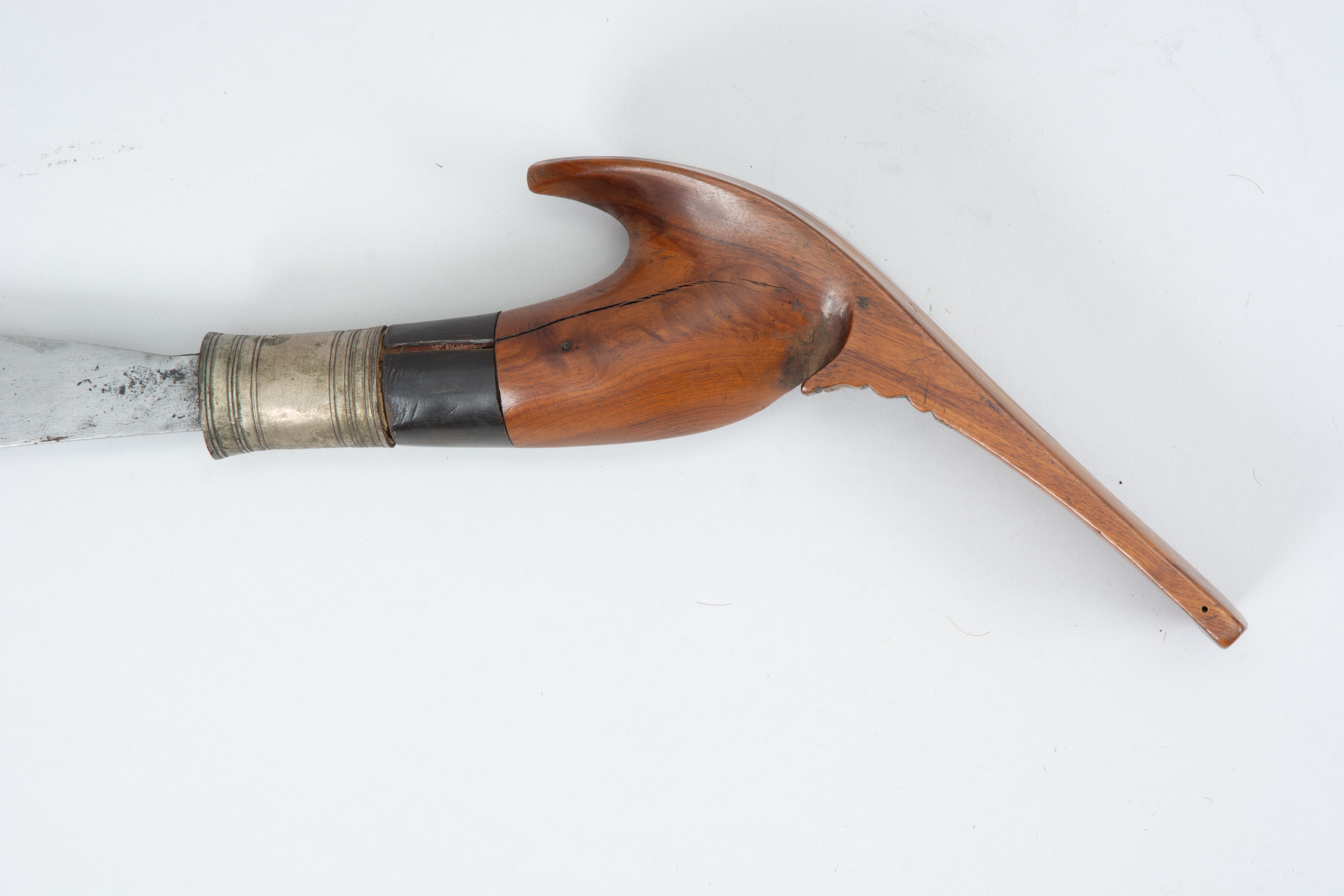 detail view (c) Field Museum of Natural History - CC BY-NC 4.0