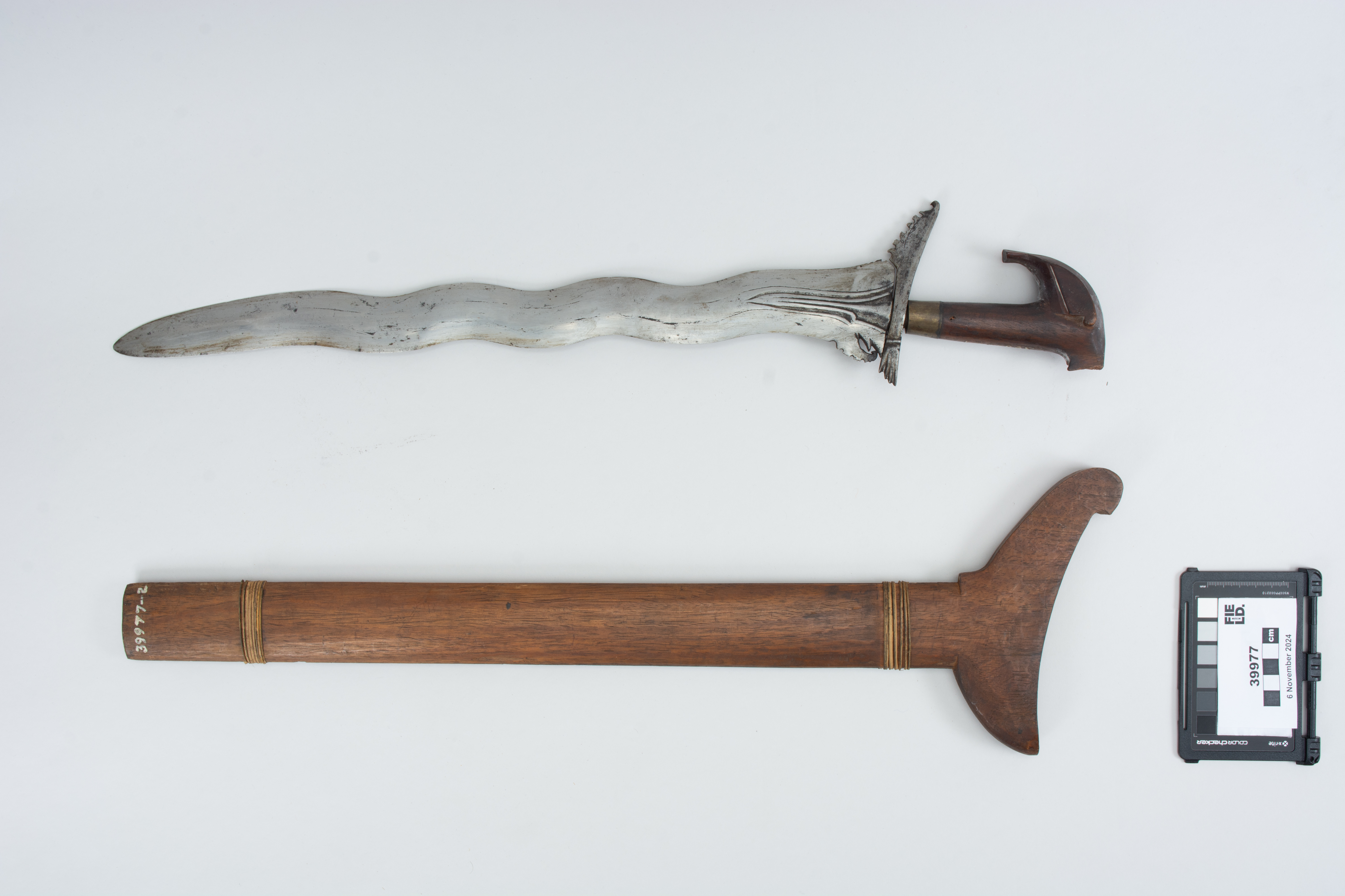 overall view (c) Field Museum of Natural History - CC BY-NC 4.0